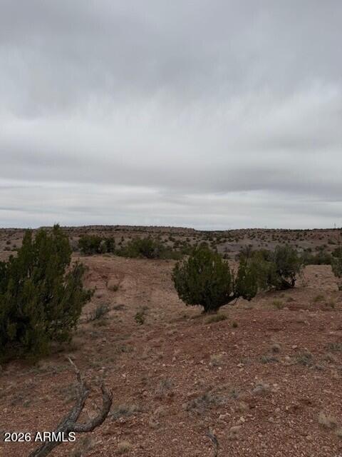 N6124 N N6124 202-44-022, St Johns, AZ 85936