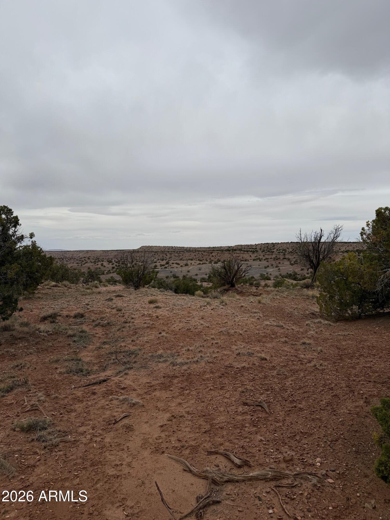 N6124 N N6124 20245008, St Johns, AZ 85936
