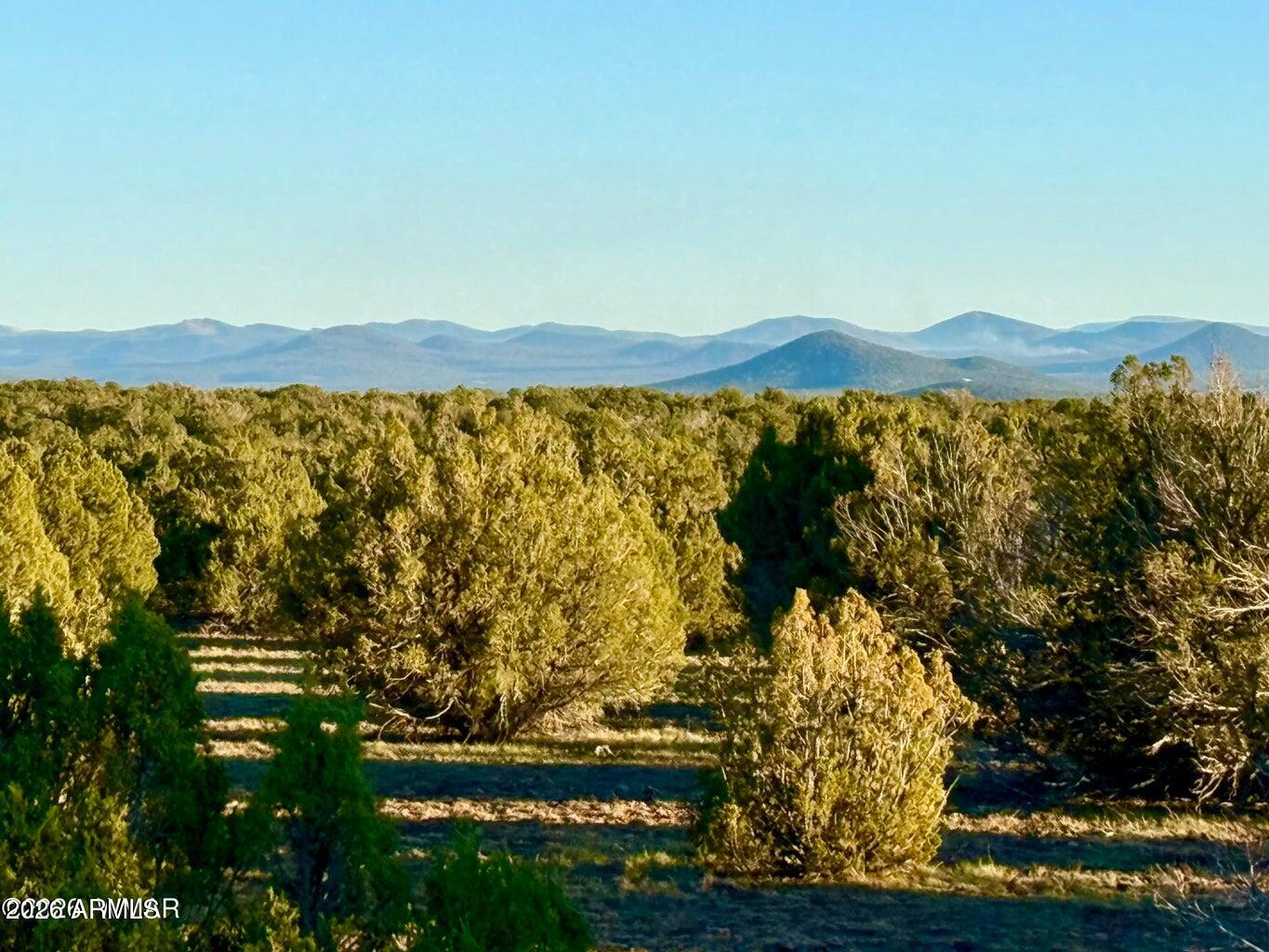 9023 Appaloosa Trl Lot A, 5 Acres -, Show Low, AZ 85901