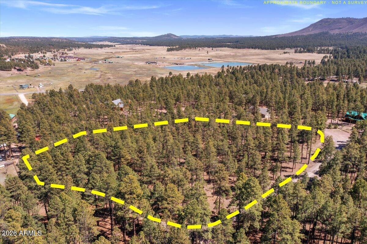 TBD County Rd 2325 -, Alpine, AZ 85920