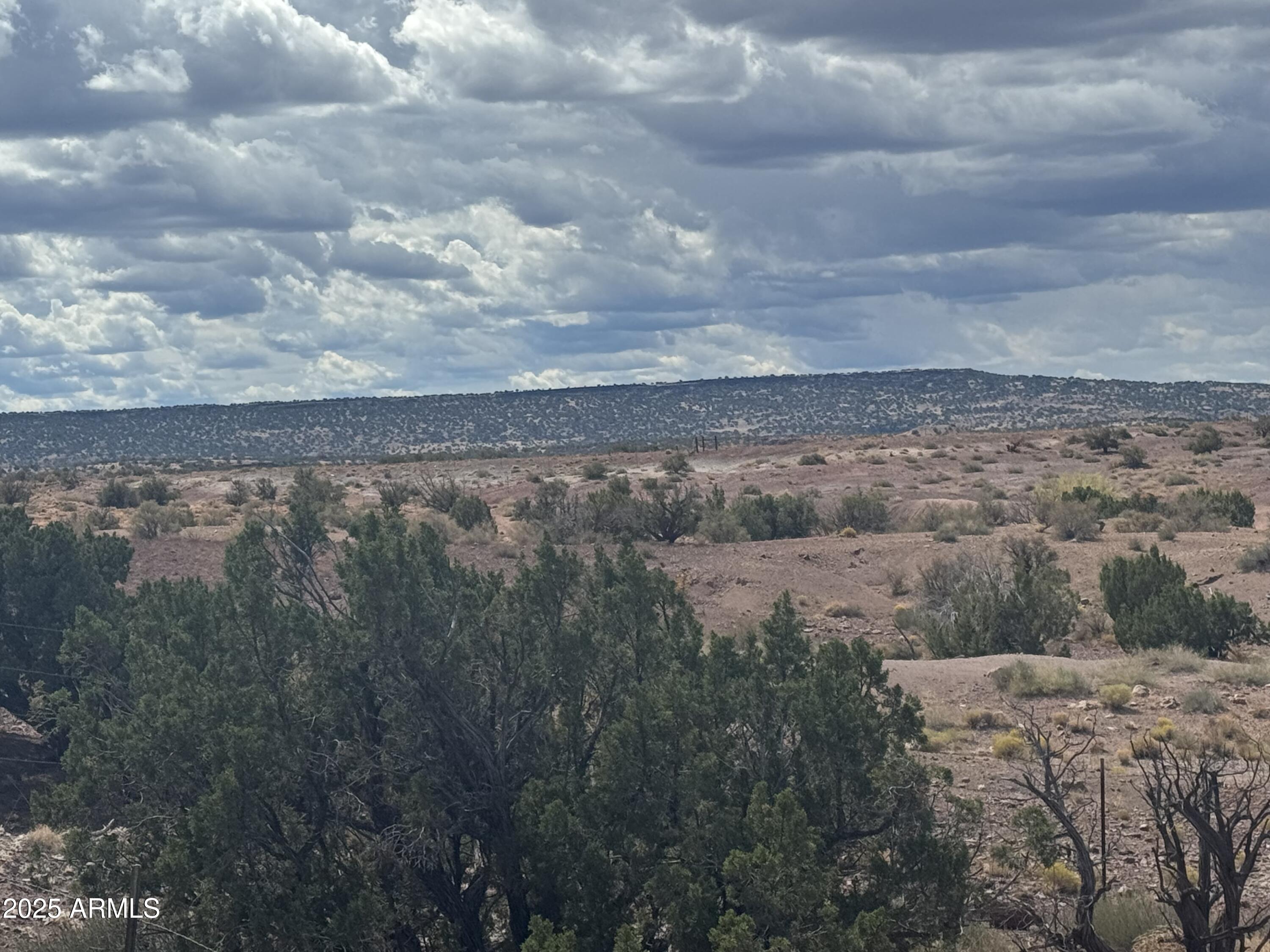 #59 River Springs Ranch 59, St Johns, AZ 85936