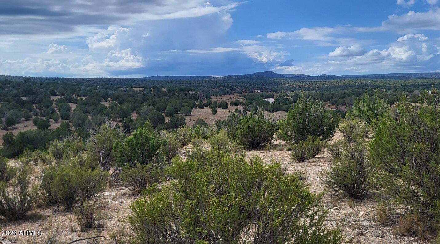 Lot 385 R-Rock & Arizona Road 385, Ash Fork, AZ 86320