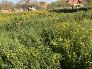 45427 N 14th Street A, New River, AZ 85087
