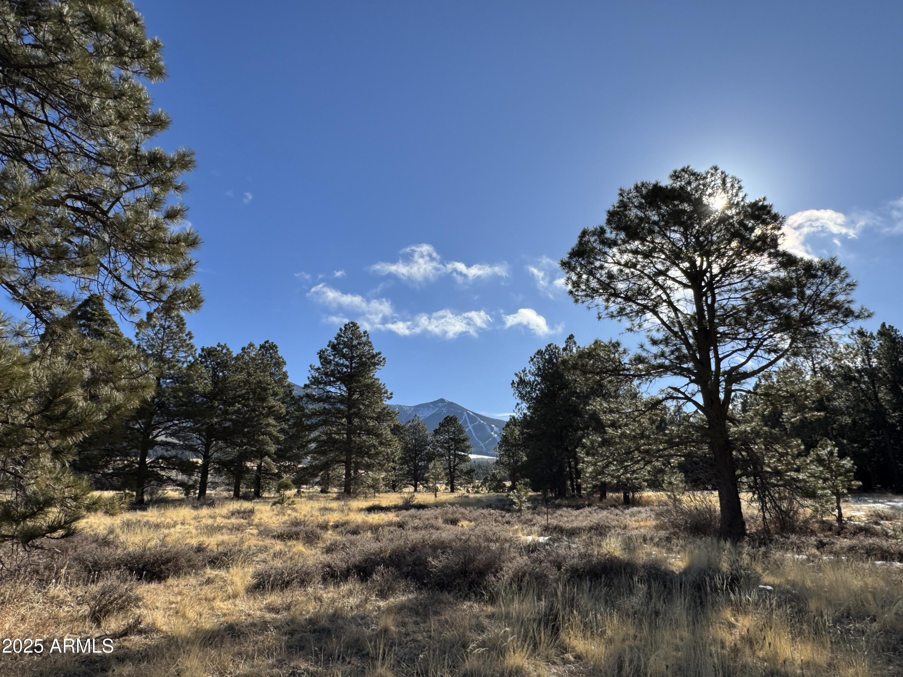 003 Hart Prairie Rd -, Flagstaff, AZ 86001
