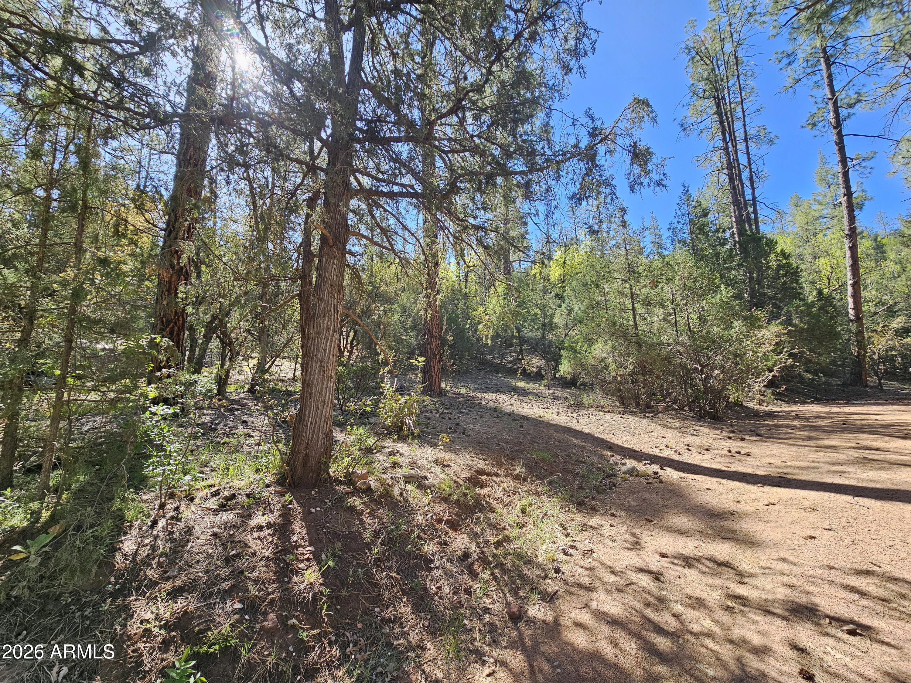3054 N NEAL Drive 4, Payson, AZ 85541