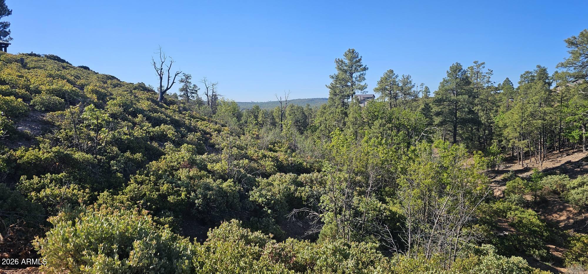 6303 Deer Run Road 398, Show Low, AZ 85901