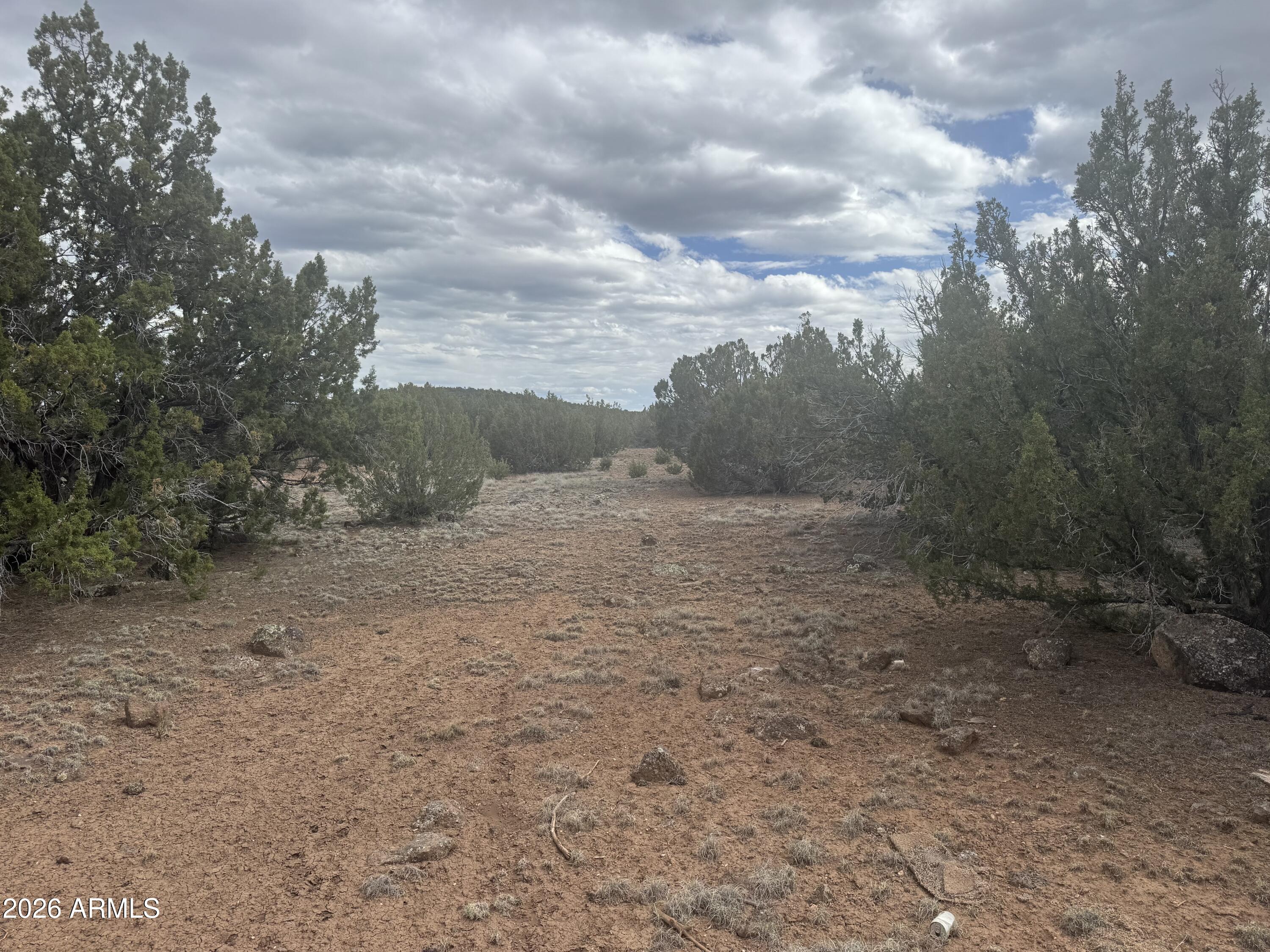 Lot 164 Mesa Redondo 164, Concho, AZ 85924