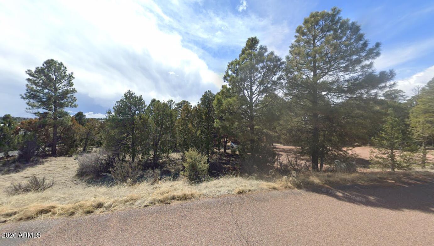 2223 FAIRWAY Drive 16, Overgaard, AZ 85933