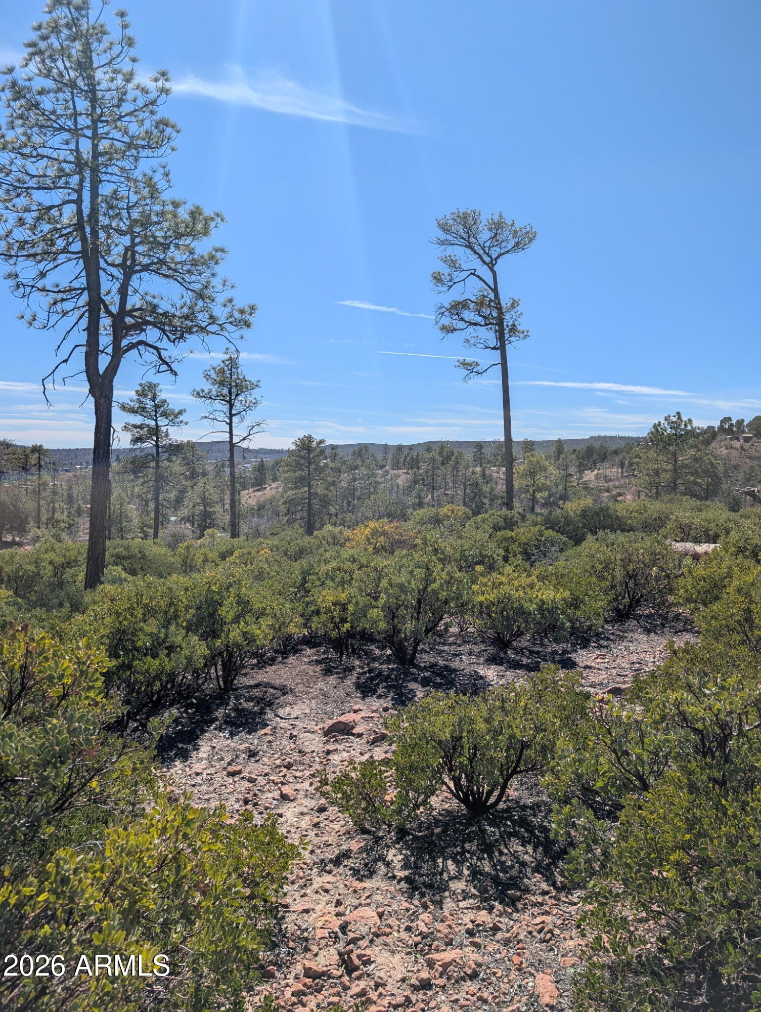 958 NAVAJO Trail 435, Show Low, AZ 85901