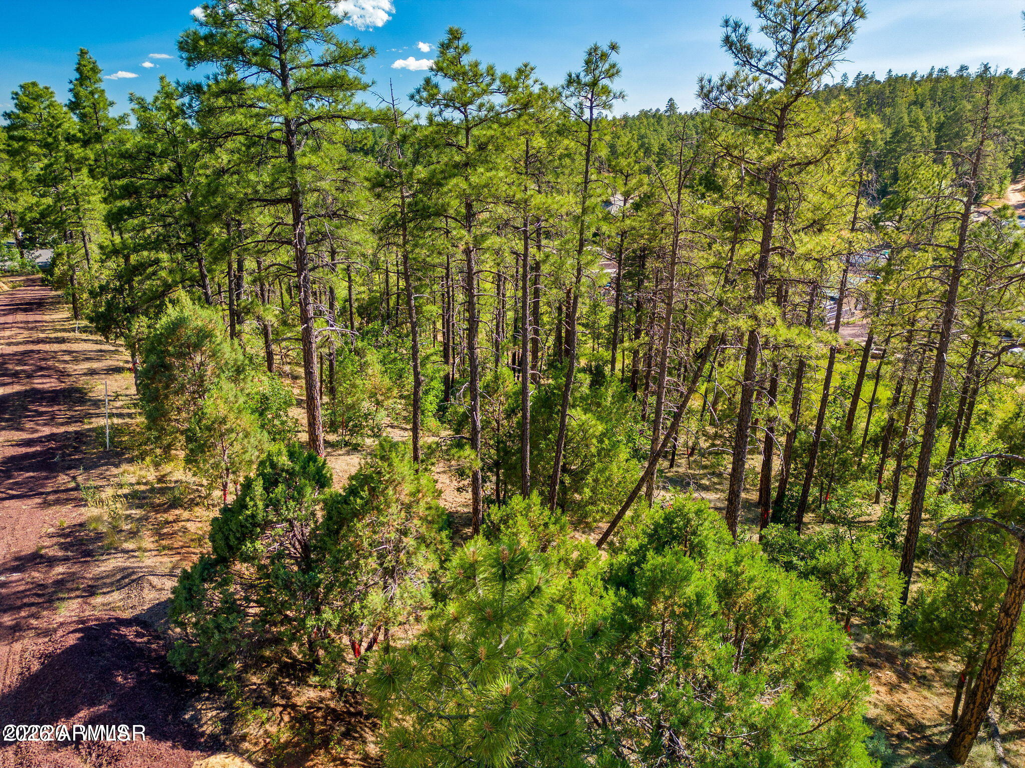 TBD E Ellsworth 3, Show Low, AZ 85901