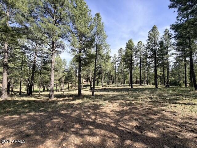 3698 S Woodland Hills Drive 383, Flagstaff, AZ 86005