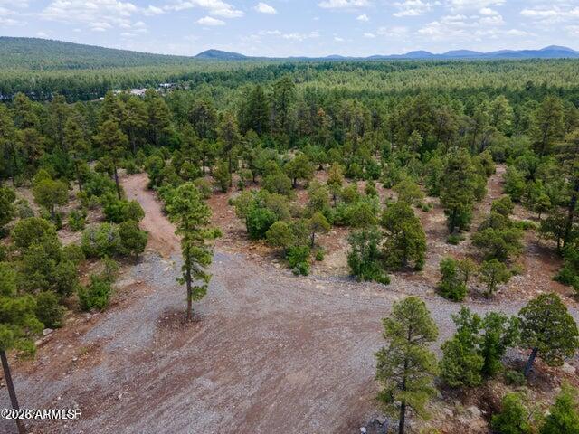 TBD-Par1 Jacks Lane -, Pinetop, AZ 85935