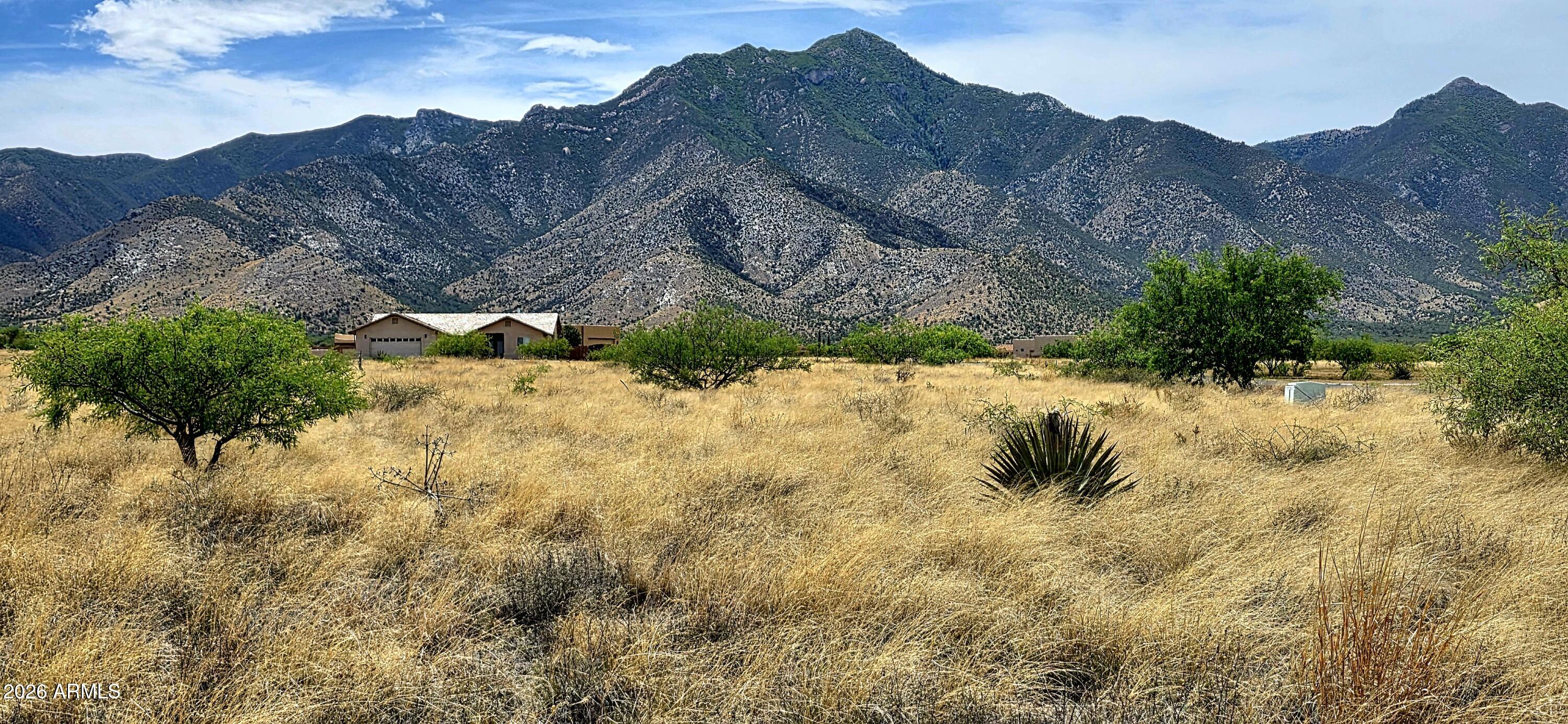 Lot 54 E Molly Drive 54, Hereford, AZ 85615