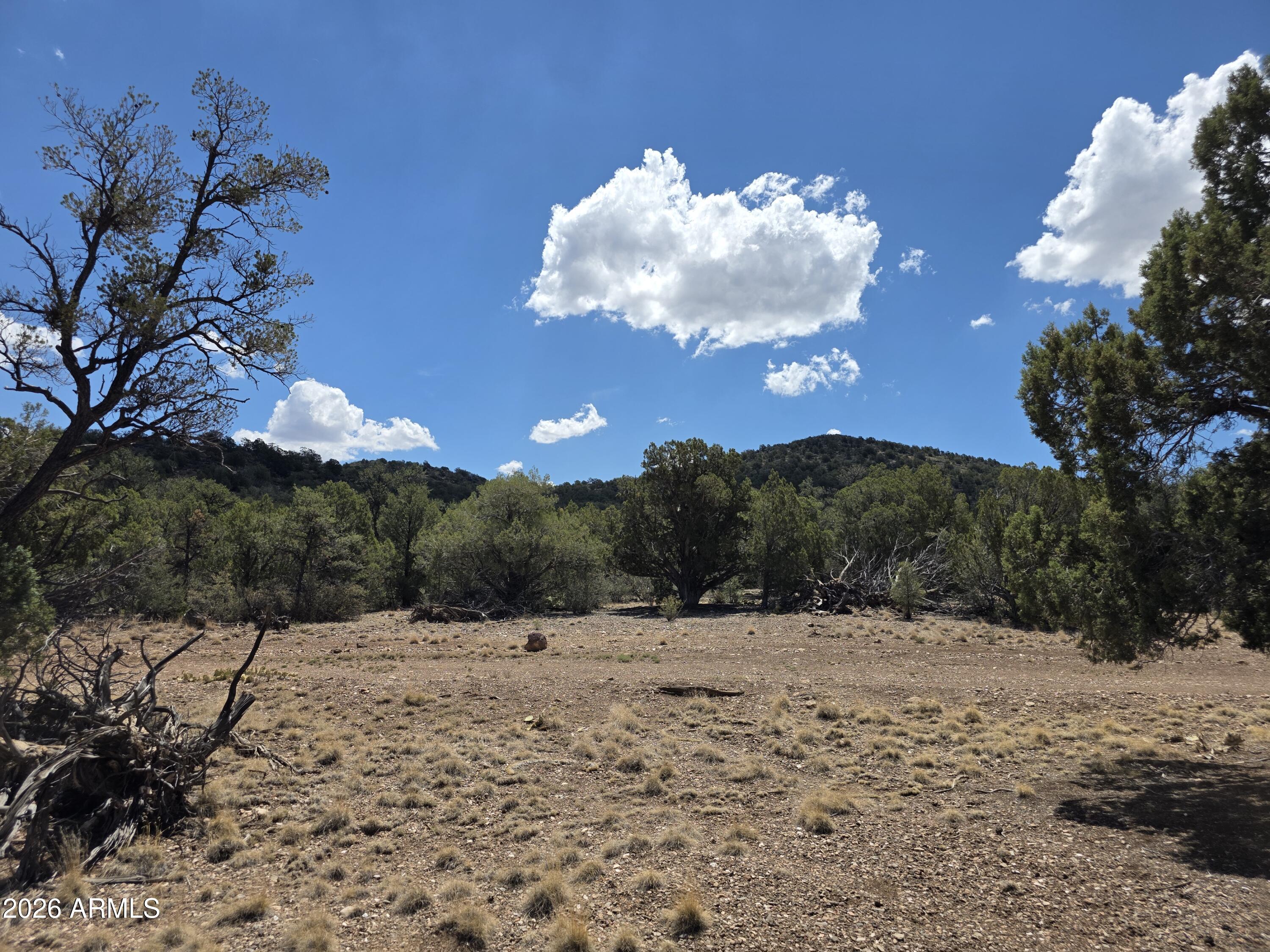 824 Seligman Yavapai County -, Seligman, AZ 86337