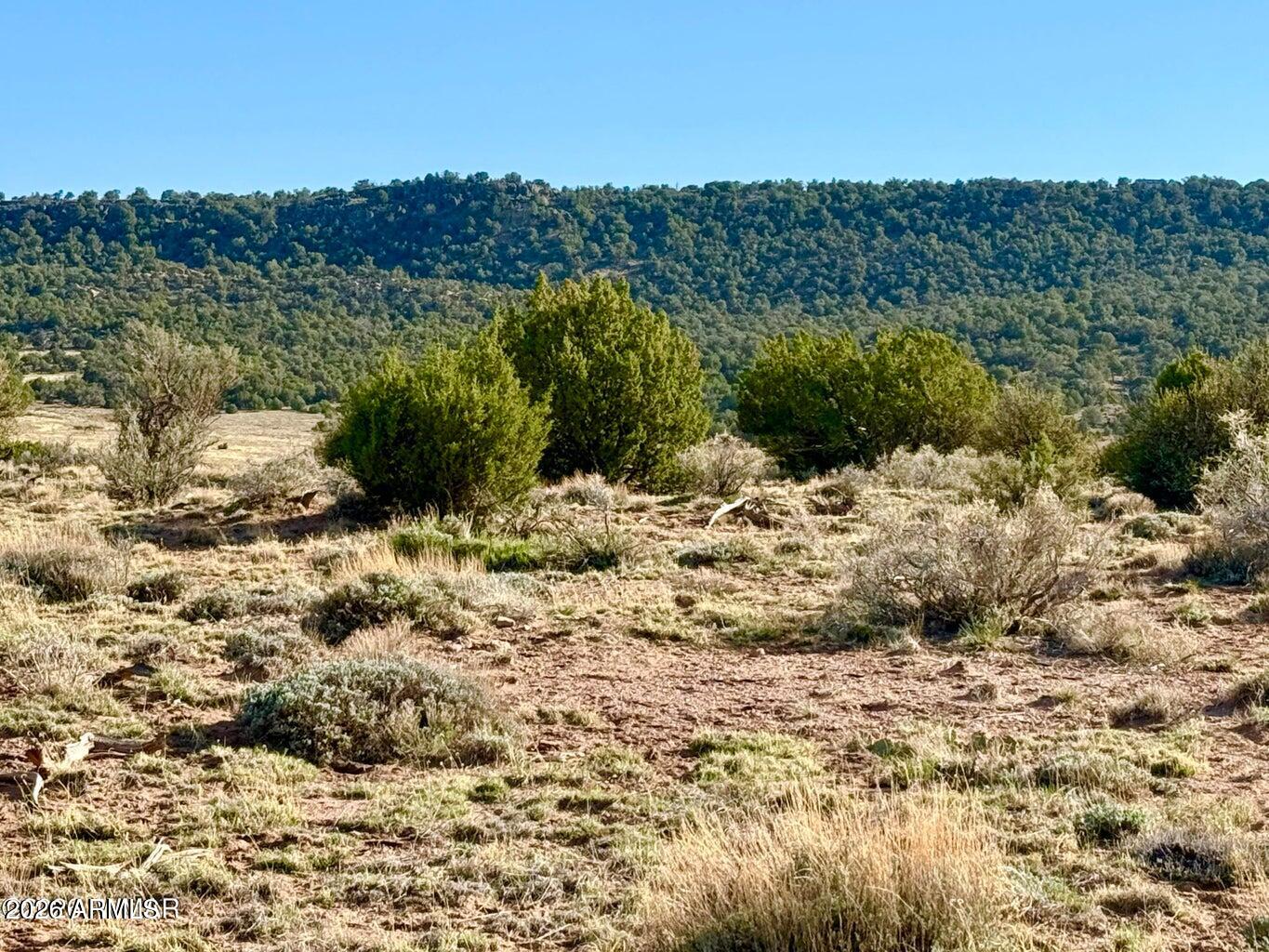 85 Co Rd 8500 Acres -, Concho, AZ 85924