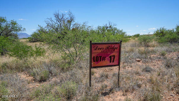 TBD S XXX Coatimundi Drive 17, Hereford, AZ 85615