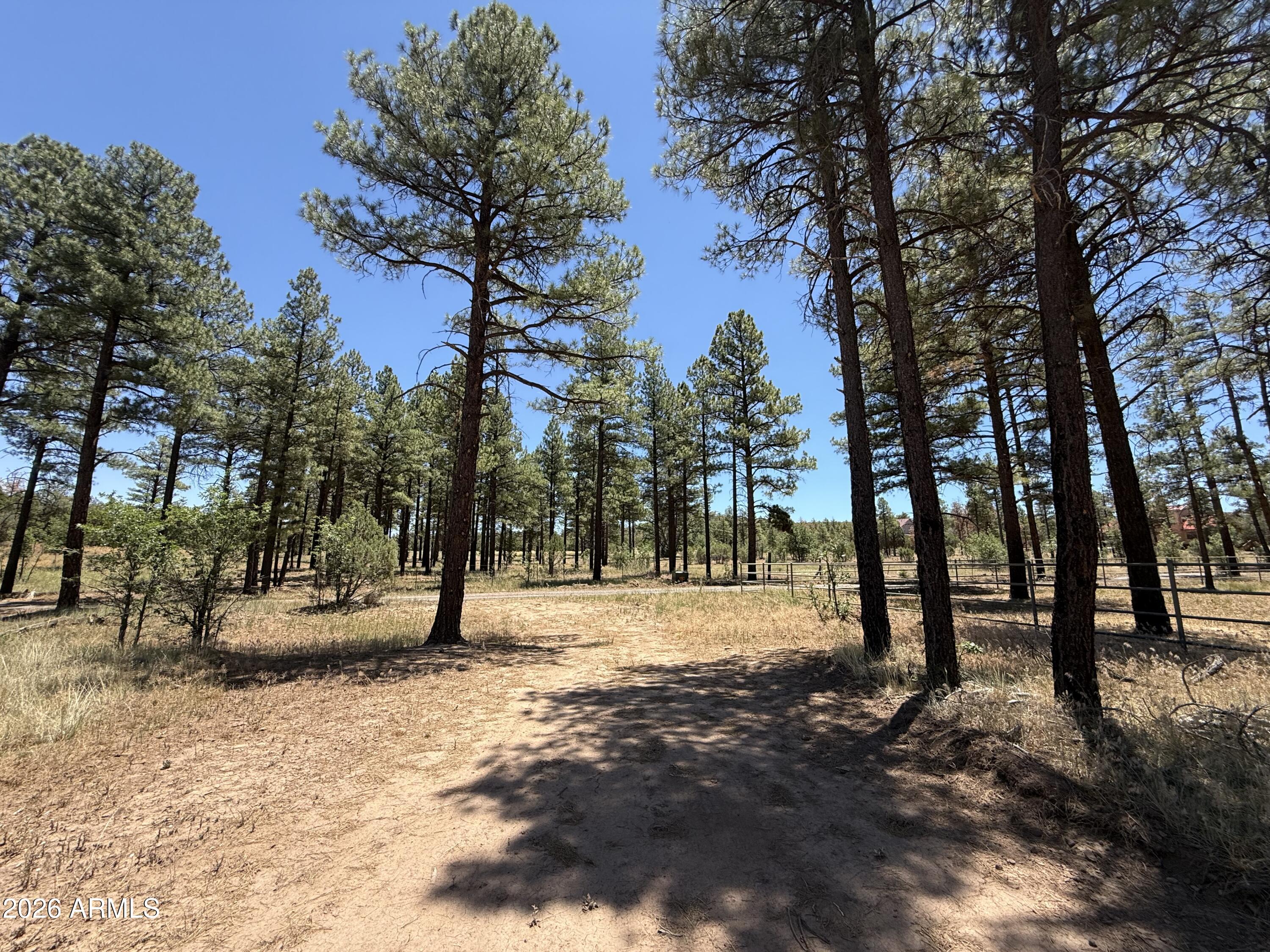854 E PINE MEADOW Lane -, Show Low, AZ 85901