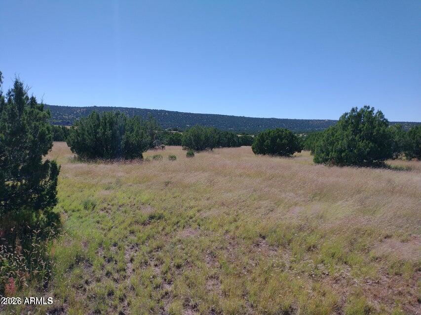 71 ACR 8001 632, Concho, AZ 85924