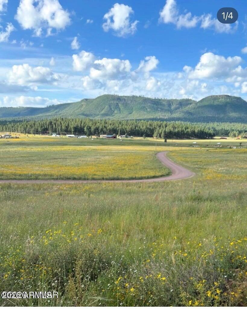 27 COUNTY ROAD 2330 32, Alpine, AZ 85920