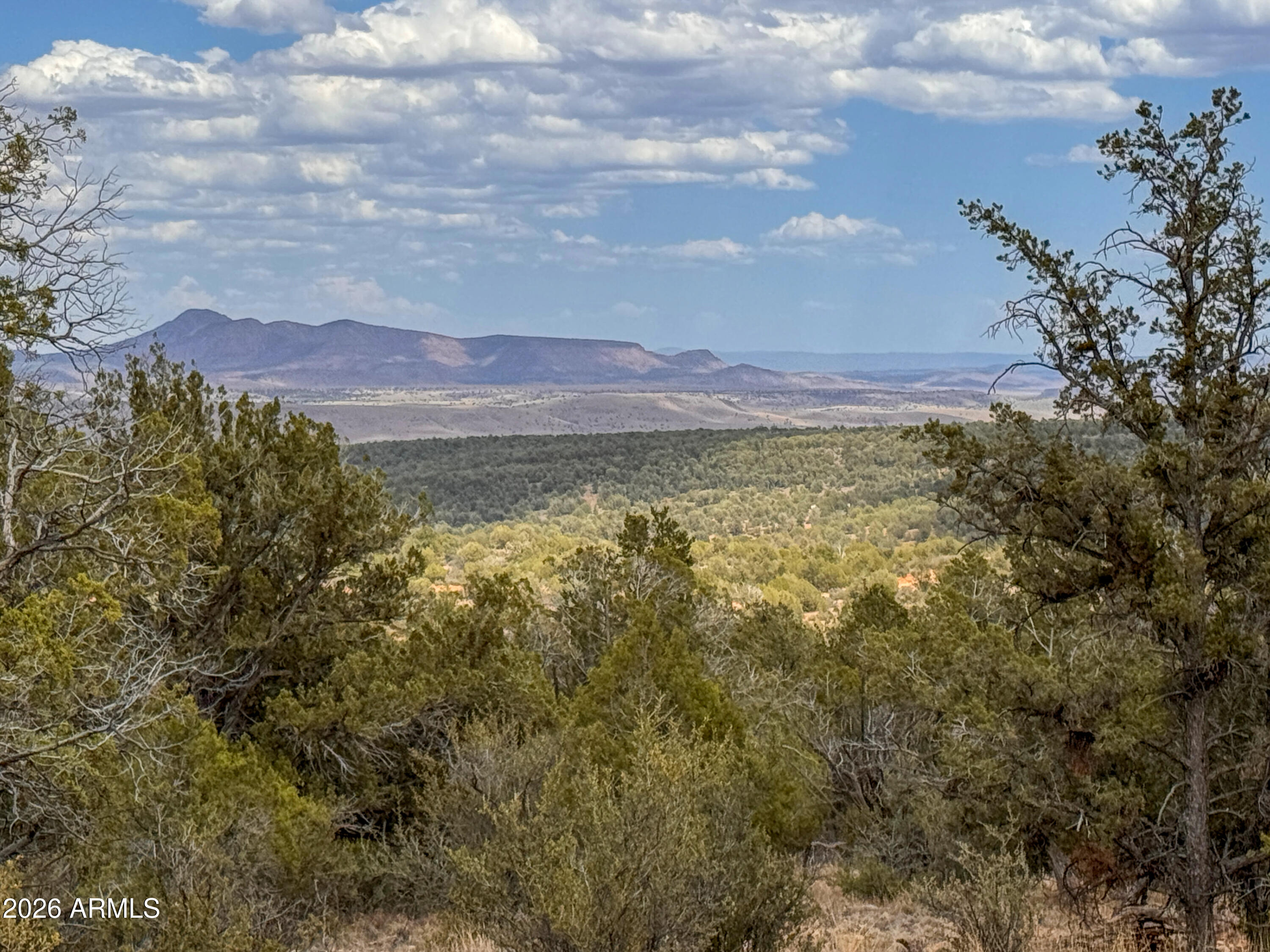 Xxxx W Ridge Drive 12, Seligman, AZ 86337