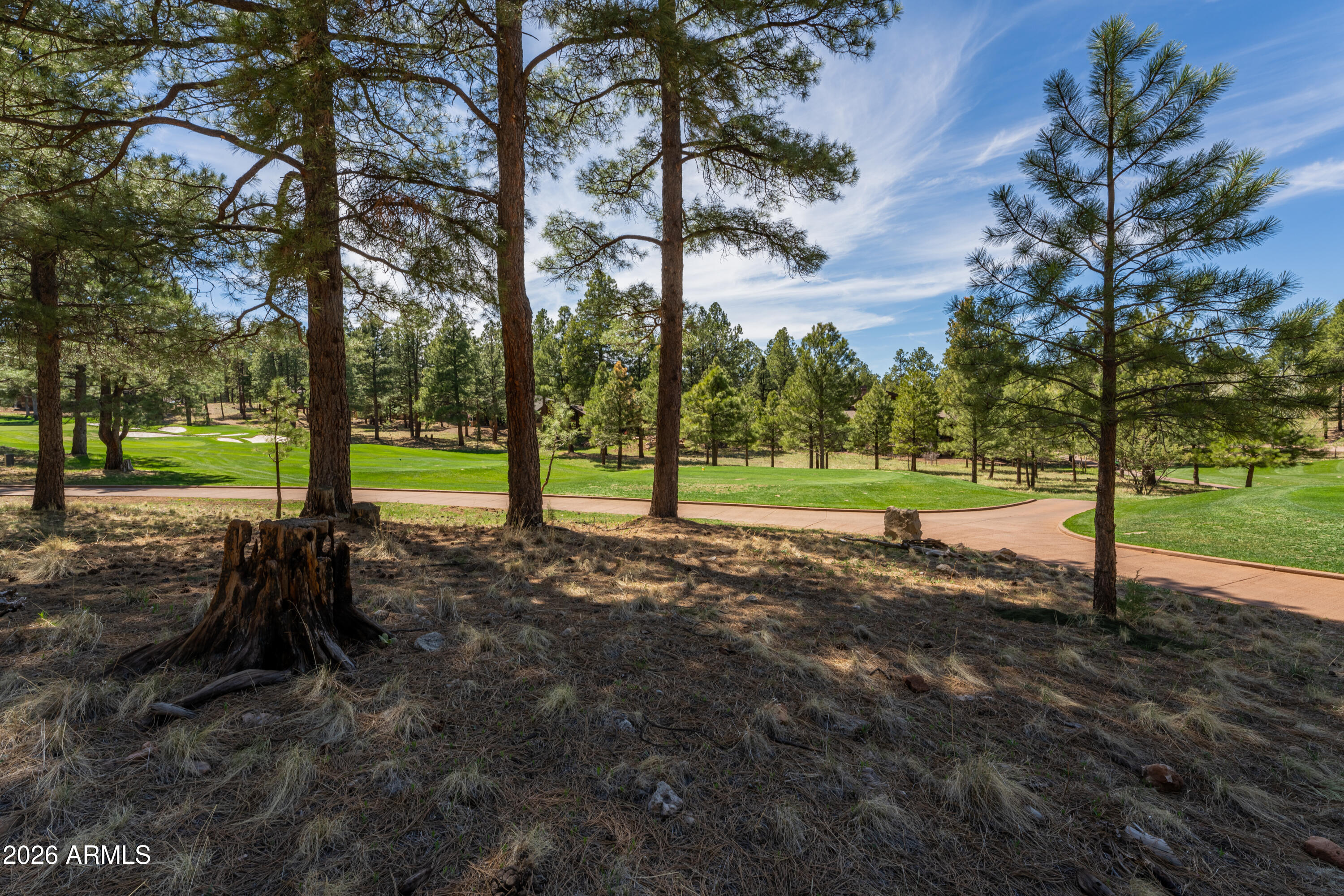 3663 S Woodland Hills Drive 365, Flagstaff, AZ 86005