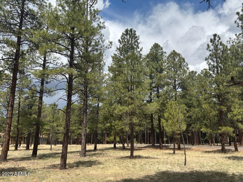 Lot 1 Hattie Greene 1, Flagstaff, AZ 86001