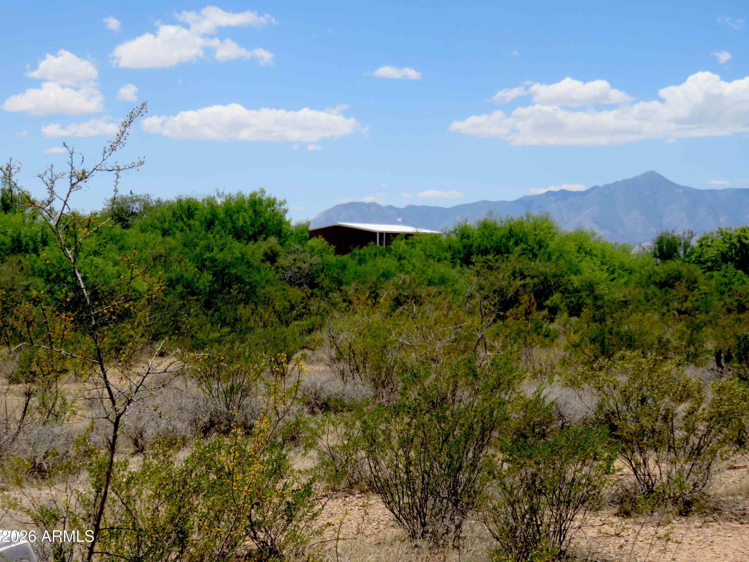TBD N Tulley Road -, Hereford, AZ 85615