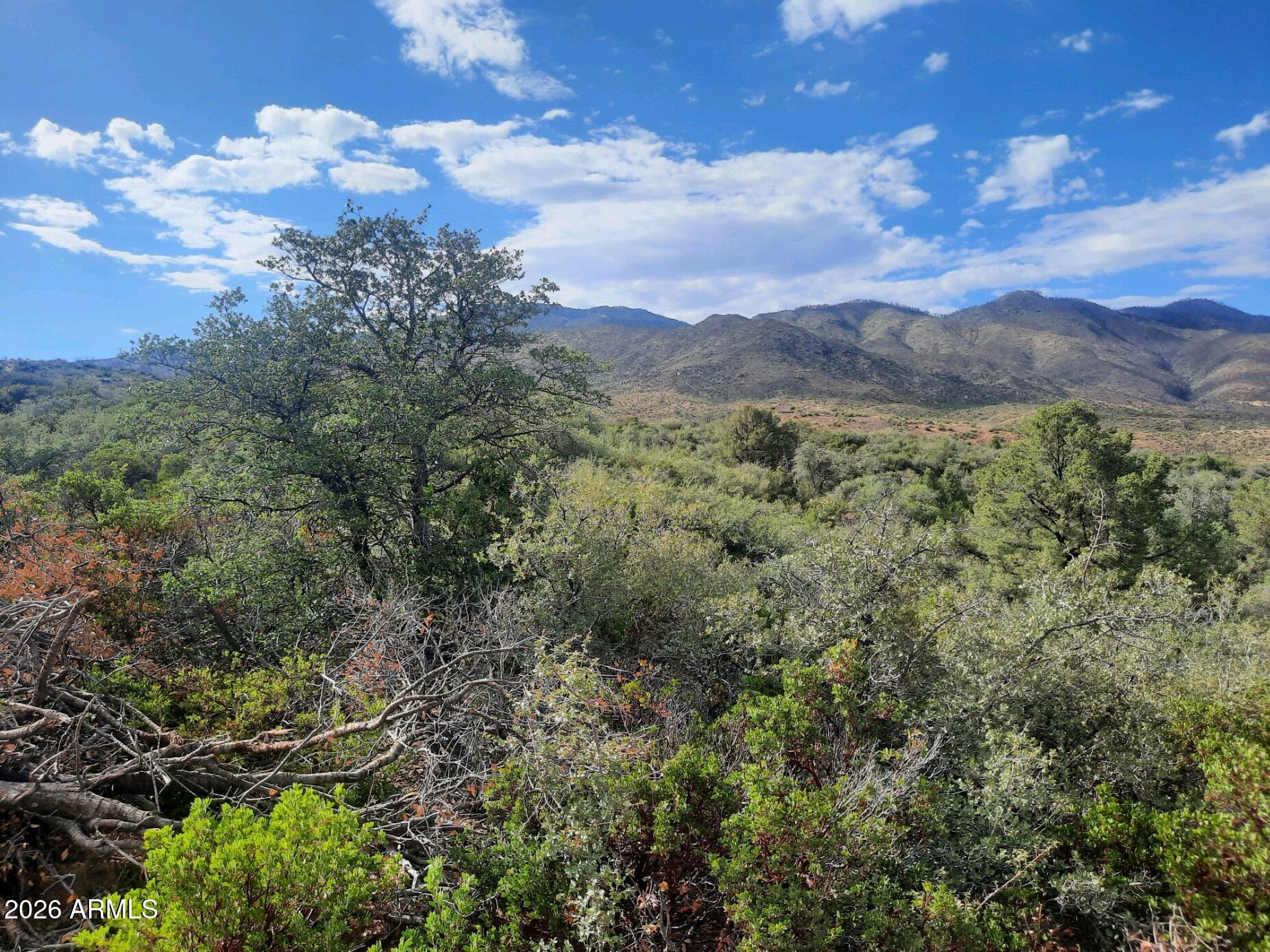 1XX N Chicory Lane -, Globe, AZ 85501