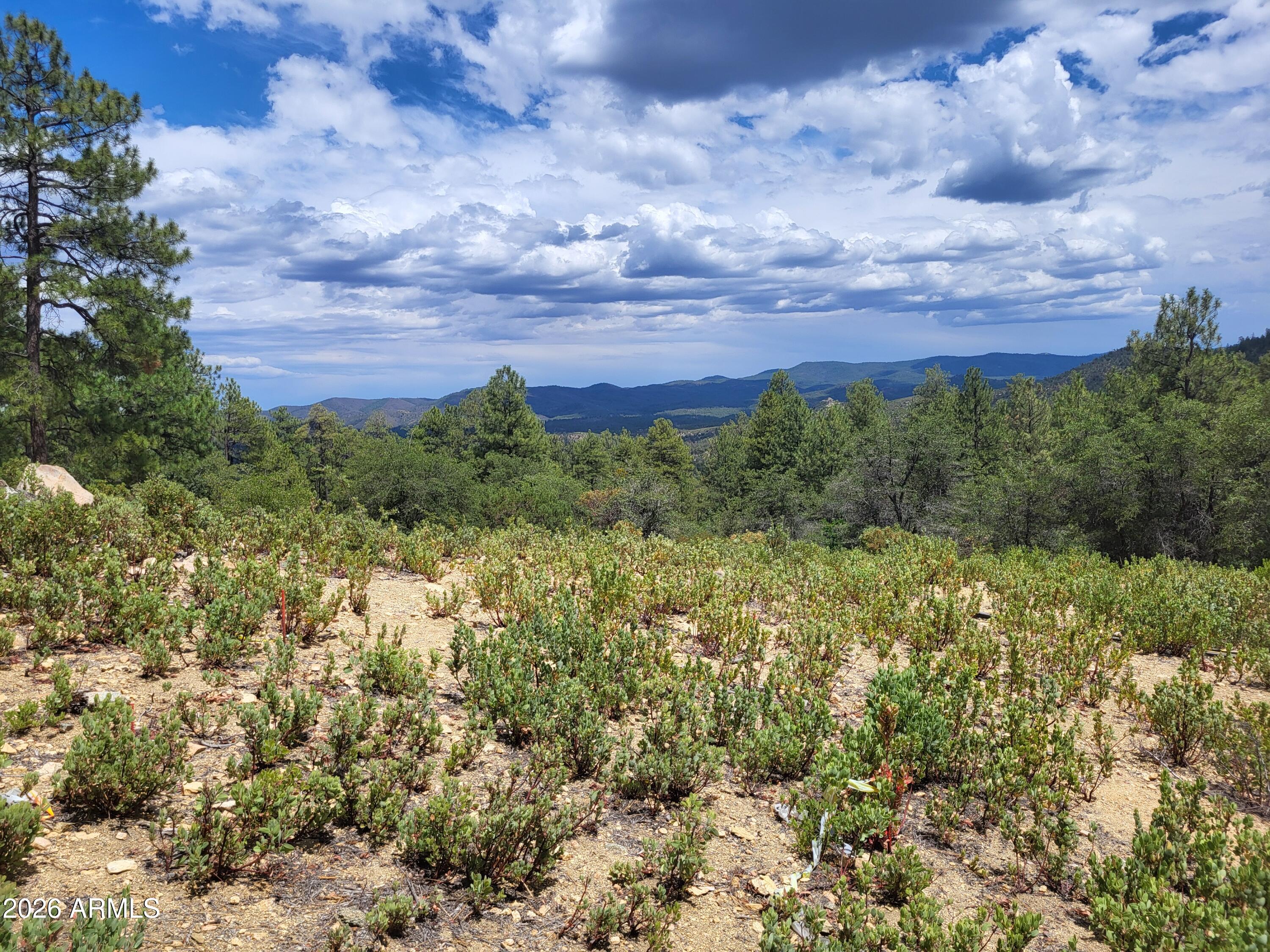 1610 S HIGH VALLEY RANCH Road 6, Prescott, AZ 86303