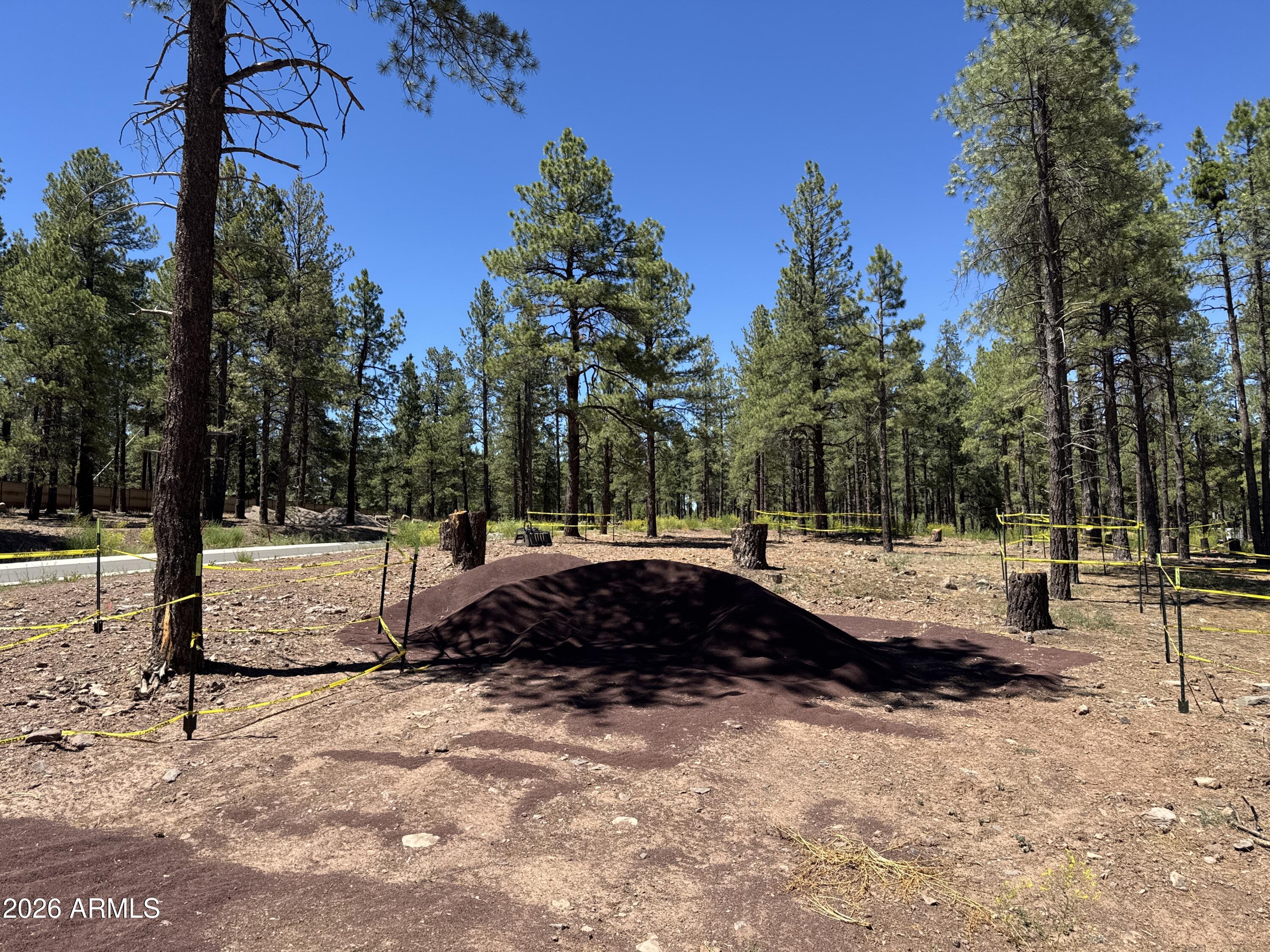 1985 Flower Spring Trl 59, Flagstaff, AZ 86005