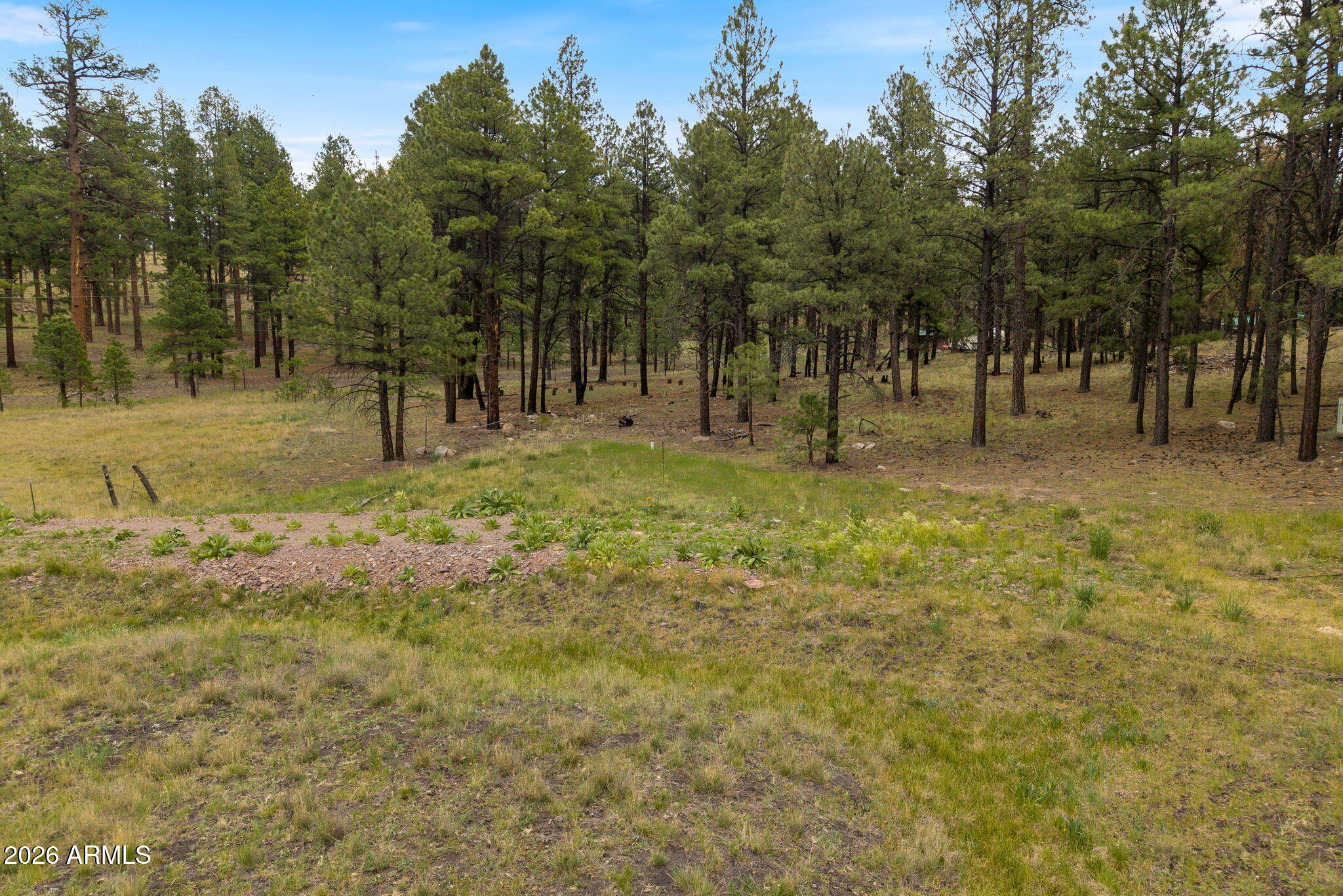 TBD County Rd 2121 -, Alpine, AZ 85920
