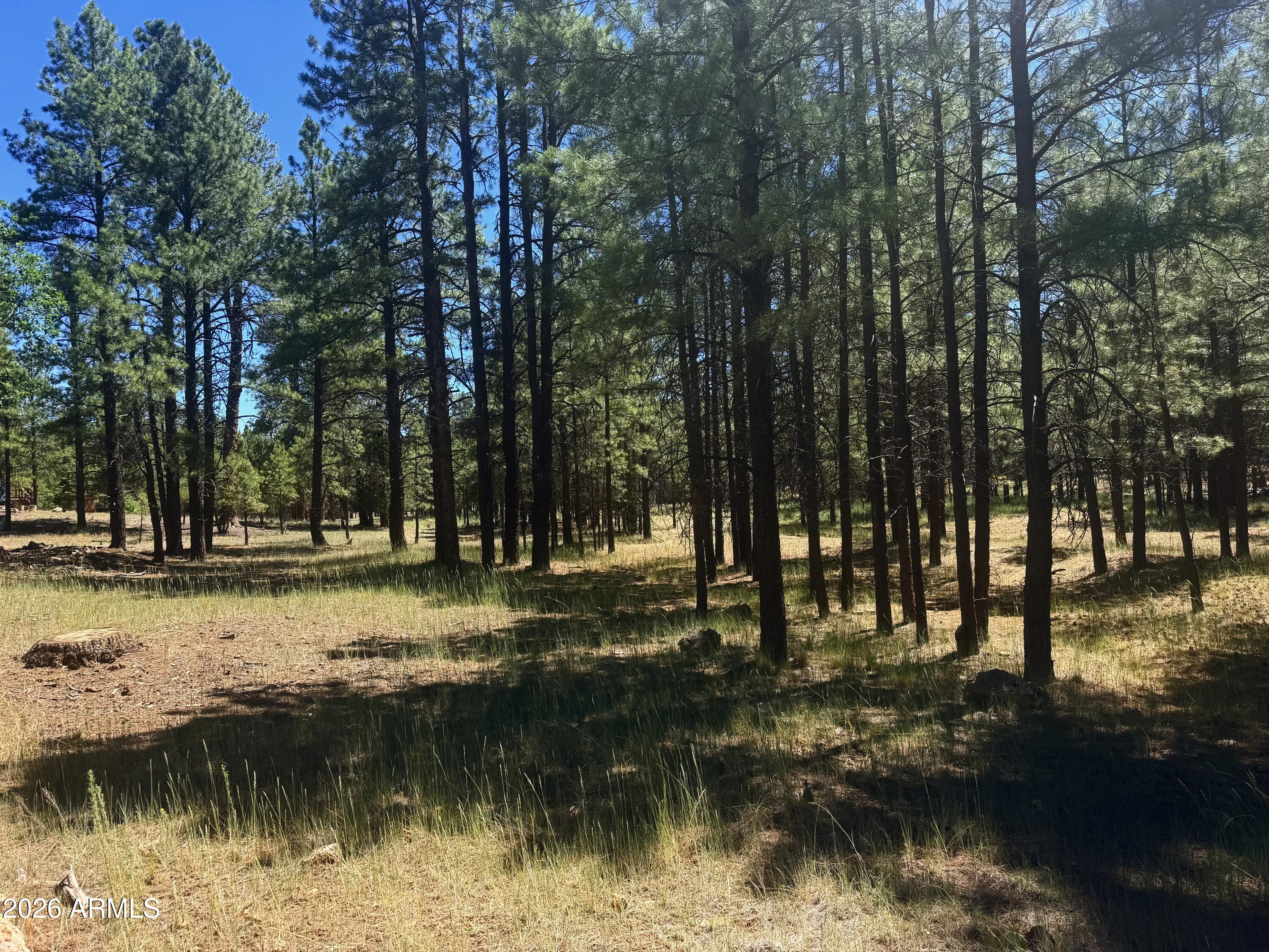 2124 ANTELOPE Way 484, Happy Jack, AZ 86024