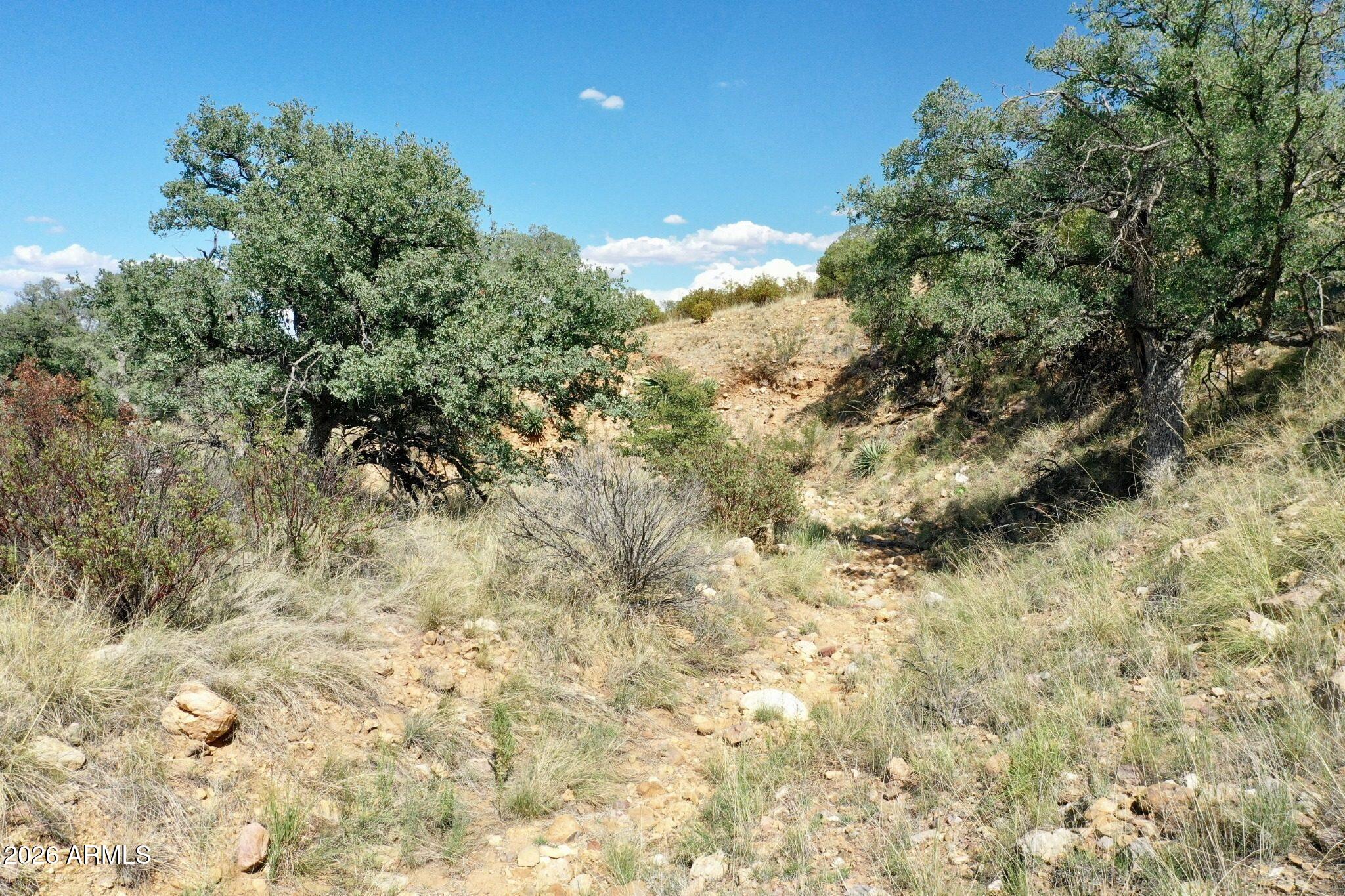 1 S Andalusian Way 1, Hereford, AZ 85615
