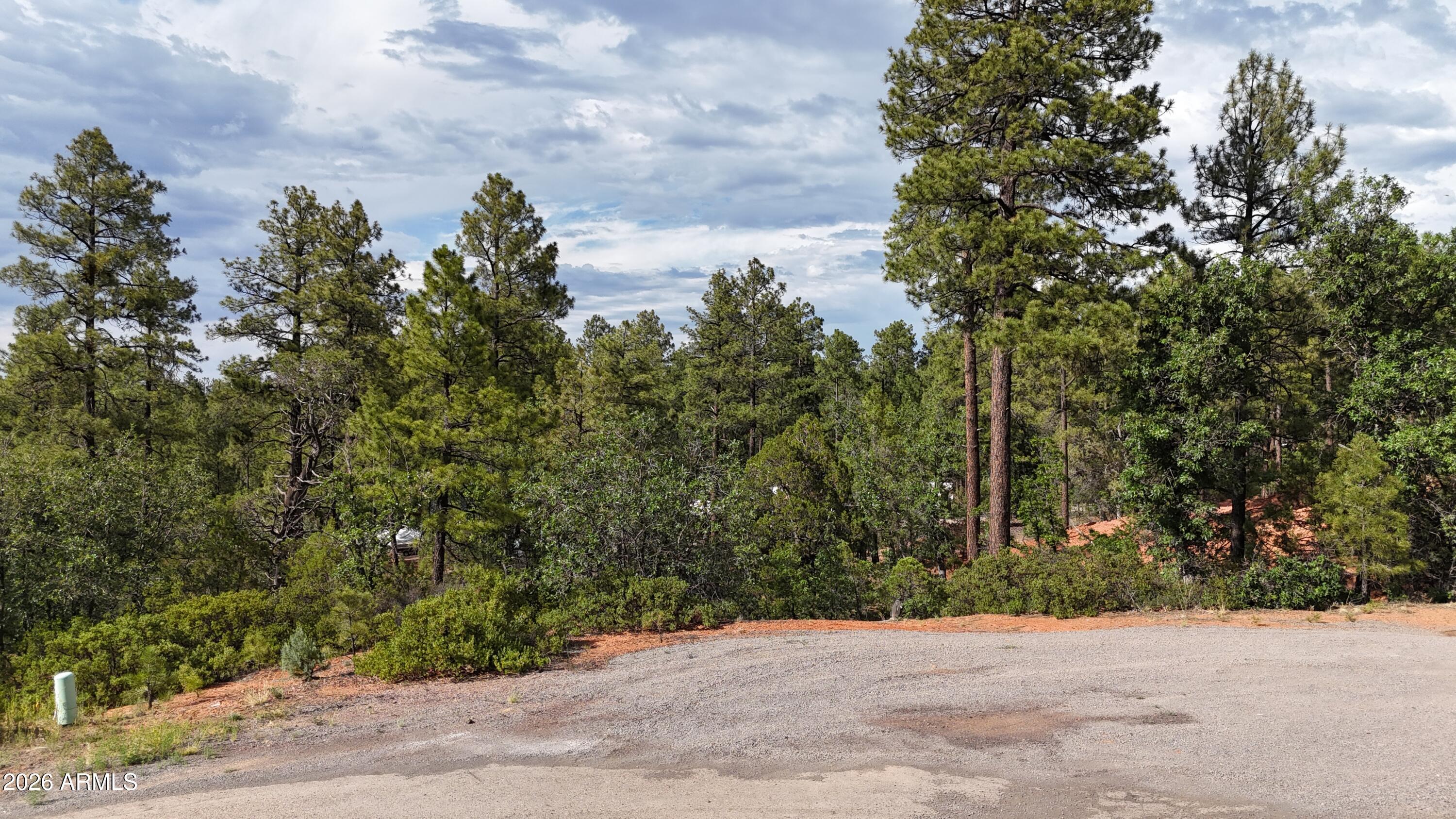 7026 LEO Lane 25, Lakeside, AZ 85929