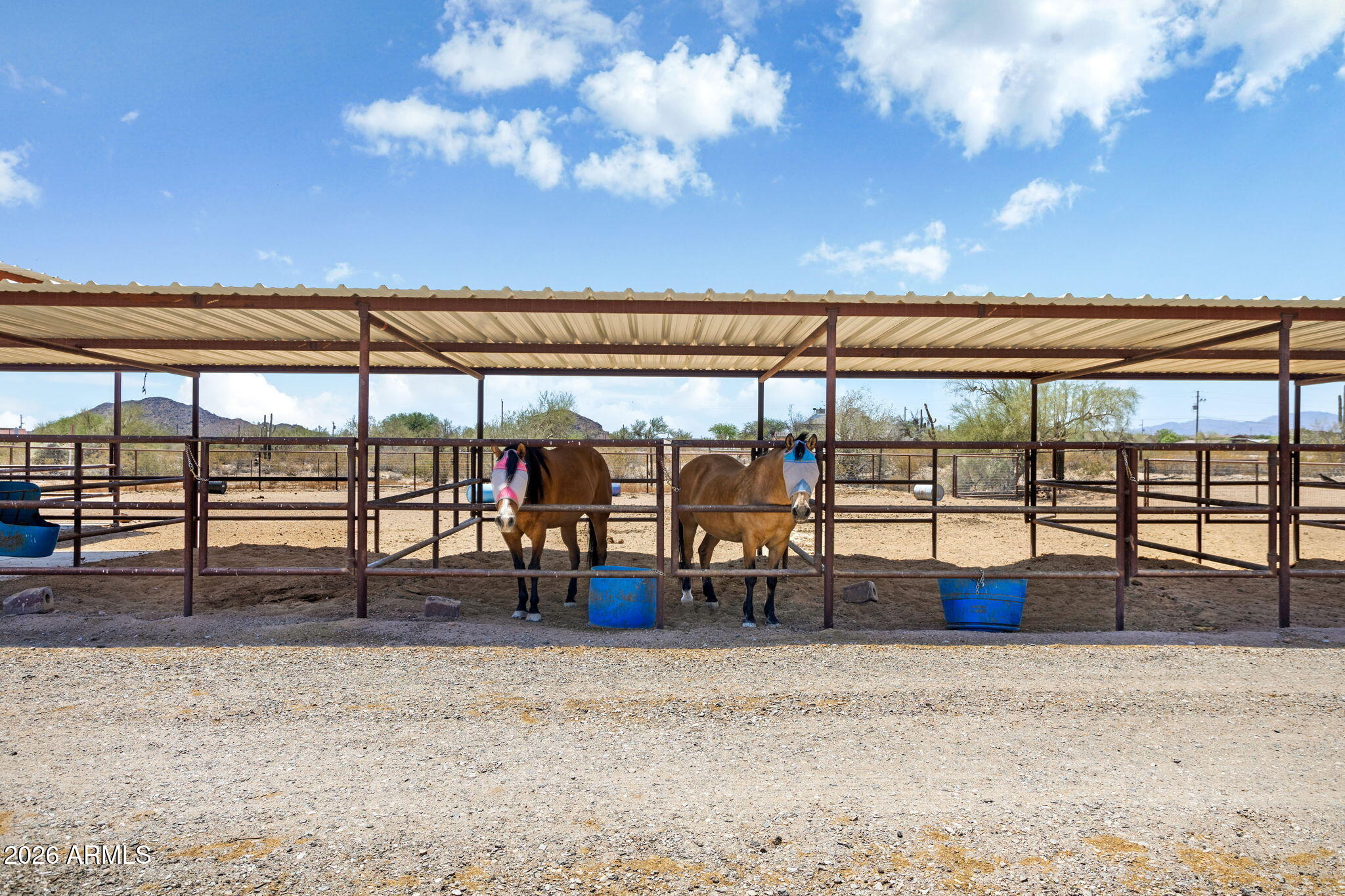 15679 W DUANE Lane, Surprise, AZ 85387