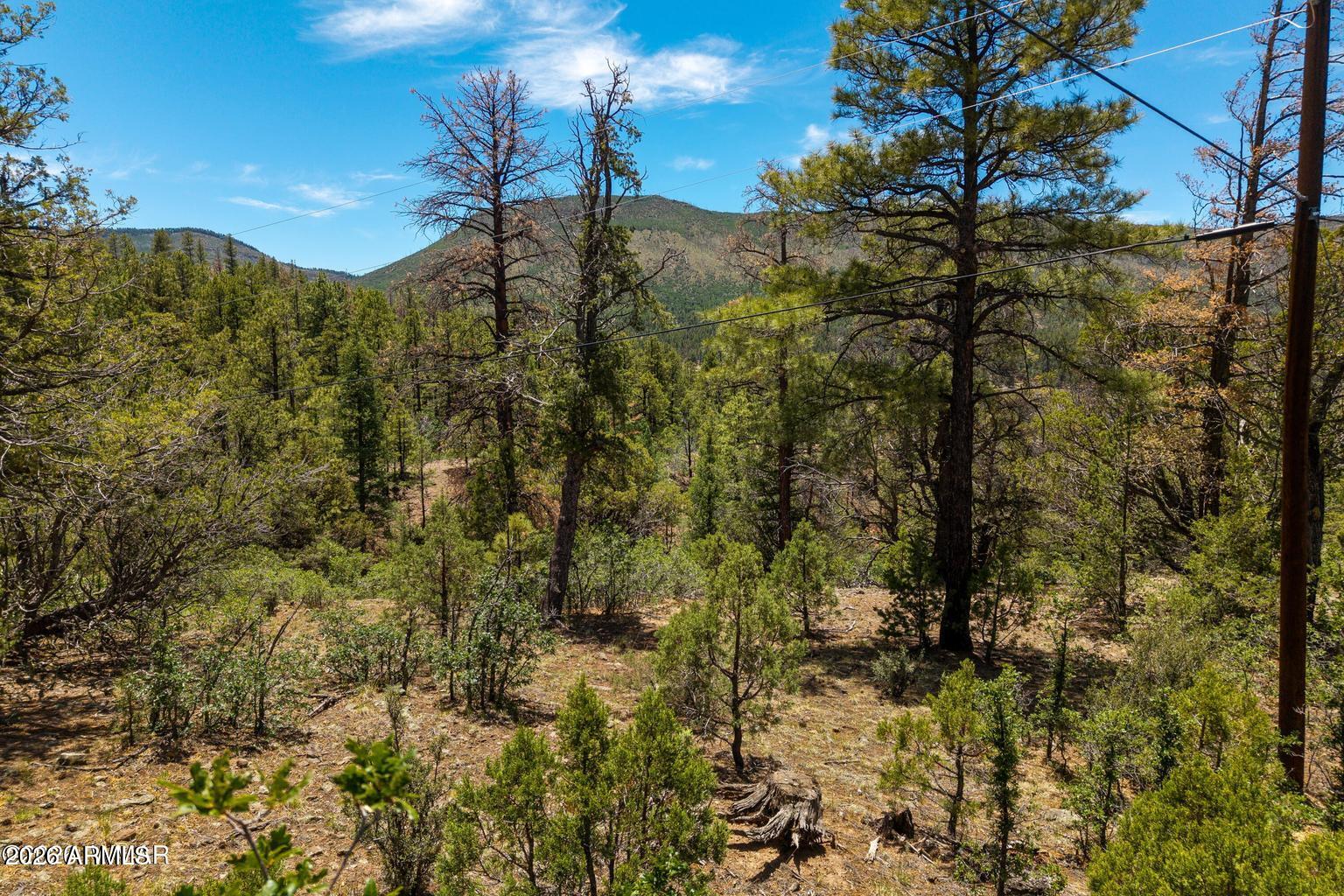 34 County Road 2279 34, Nutrioso, AZ 85932