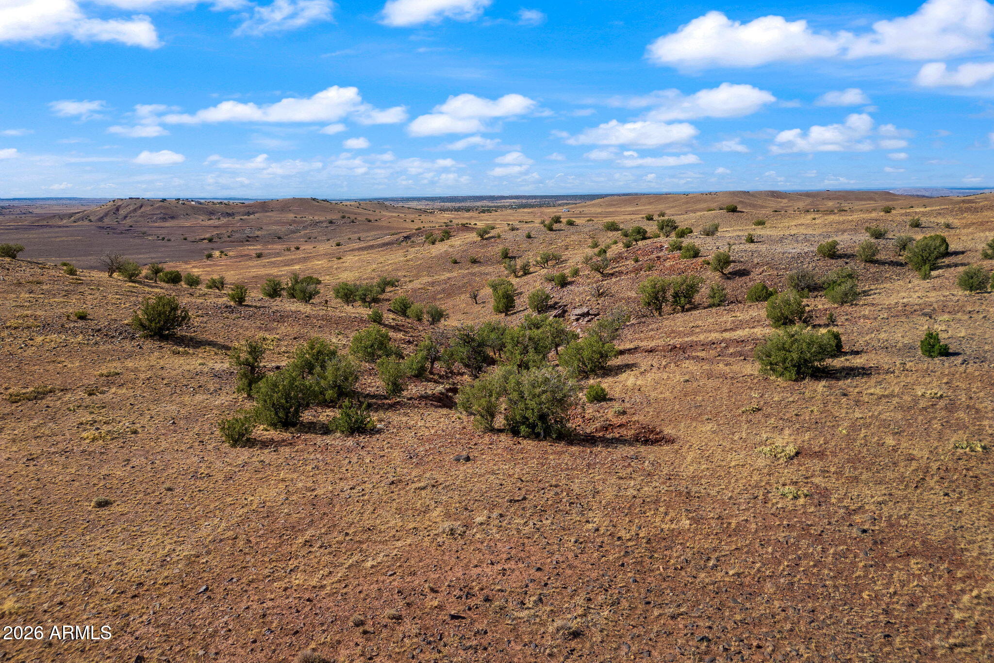 TBD N8491 -, Concho, AZ 85924