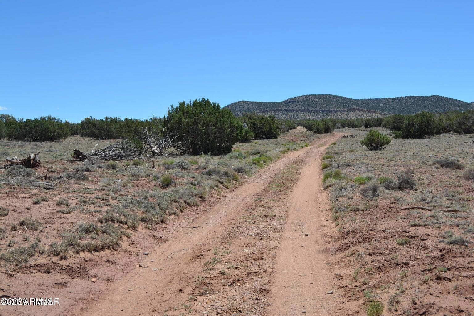 TBD N8604 1, Concho, AZ 85924