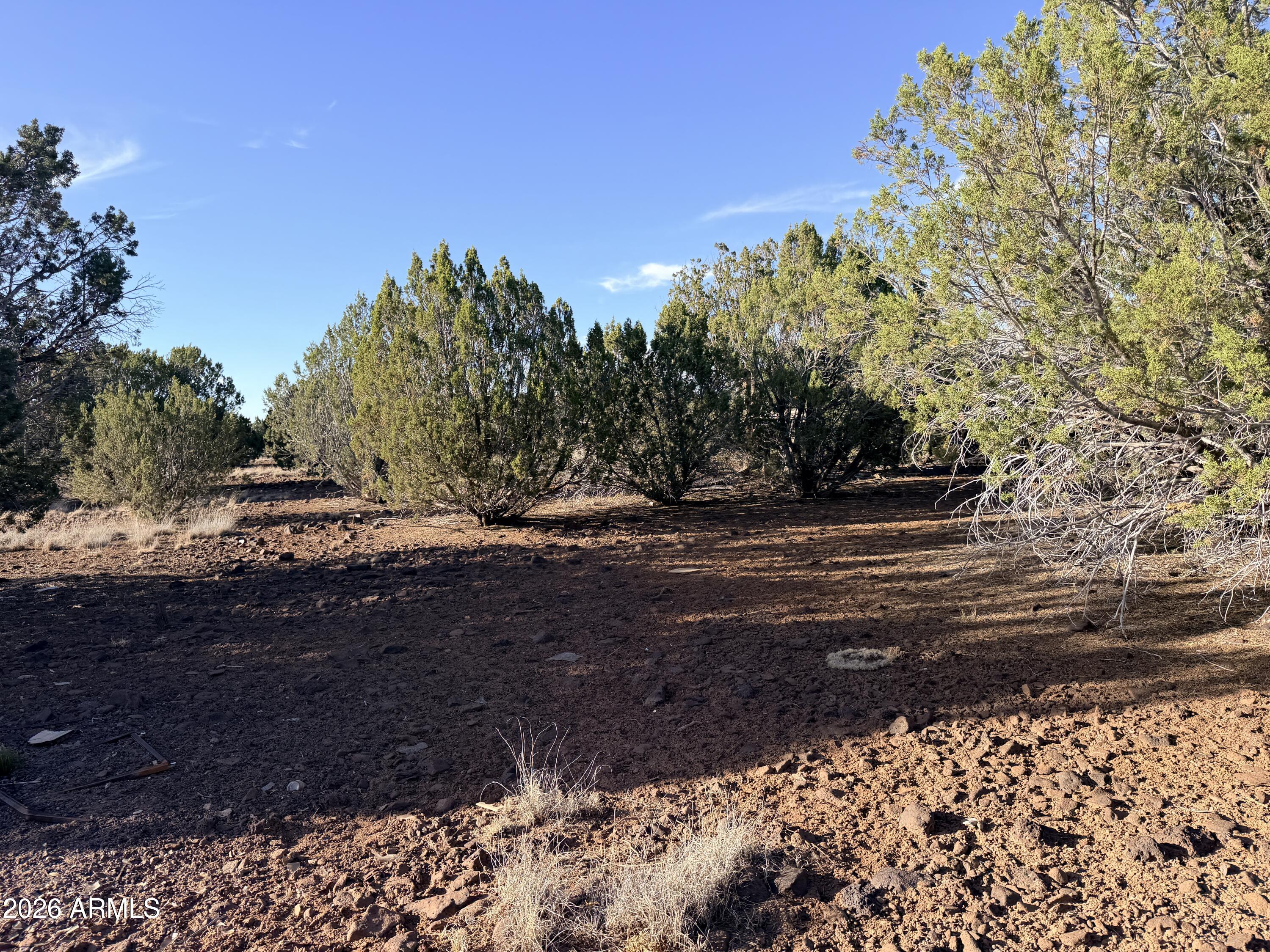 9070 PINTO Trail -, Show Low, AZ 85901