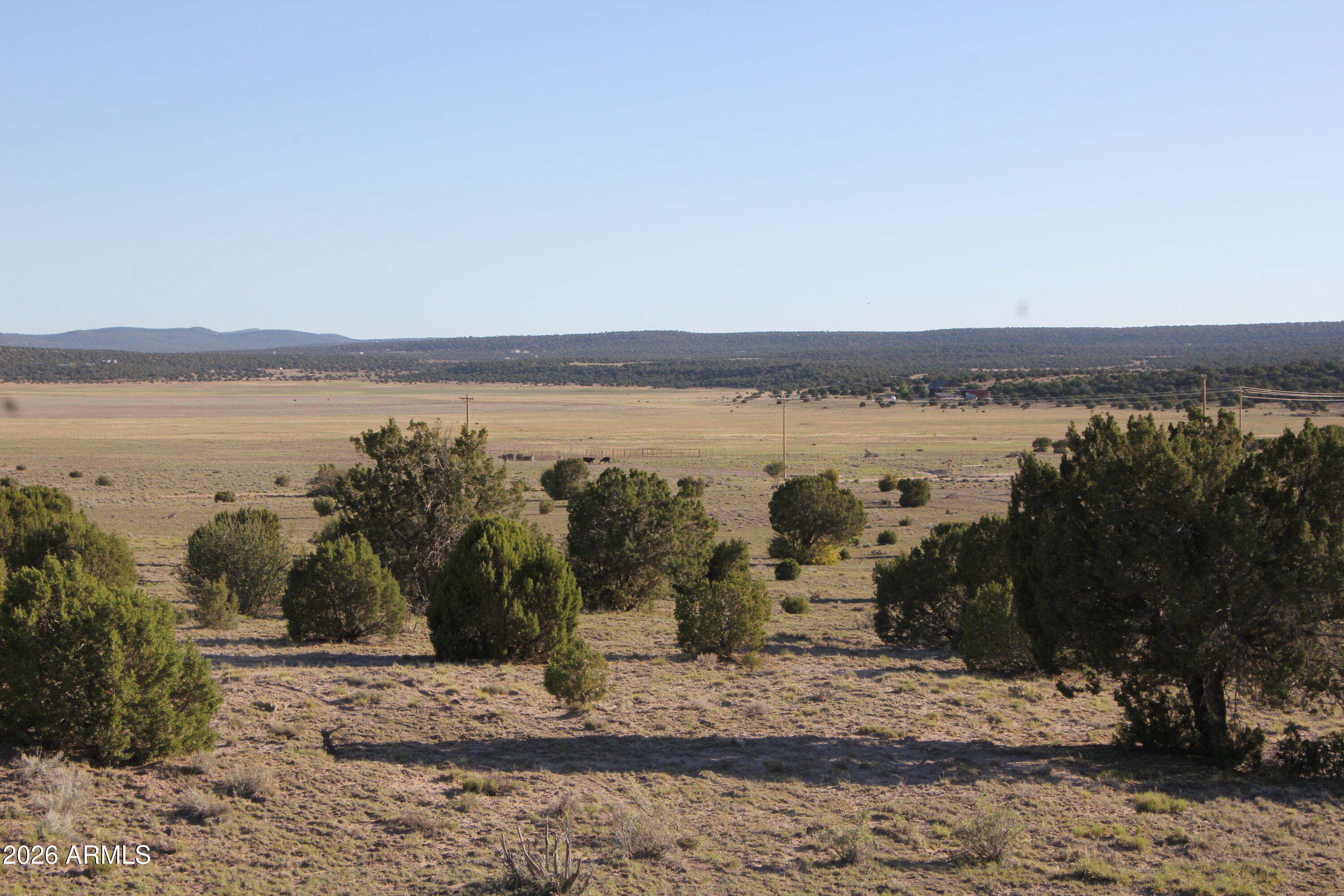 8500 TBD County Road 8500 Road 43, Concho, AZ 85924