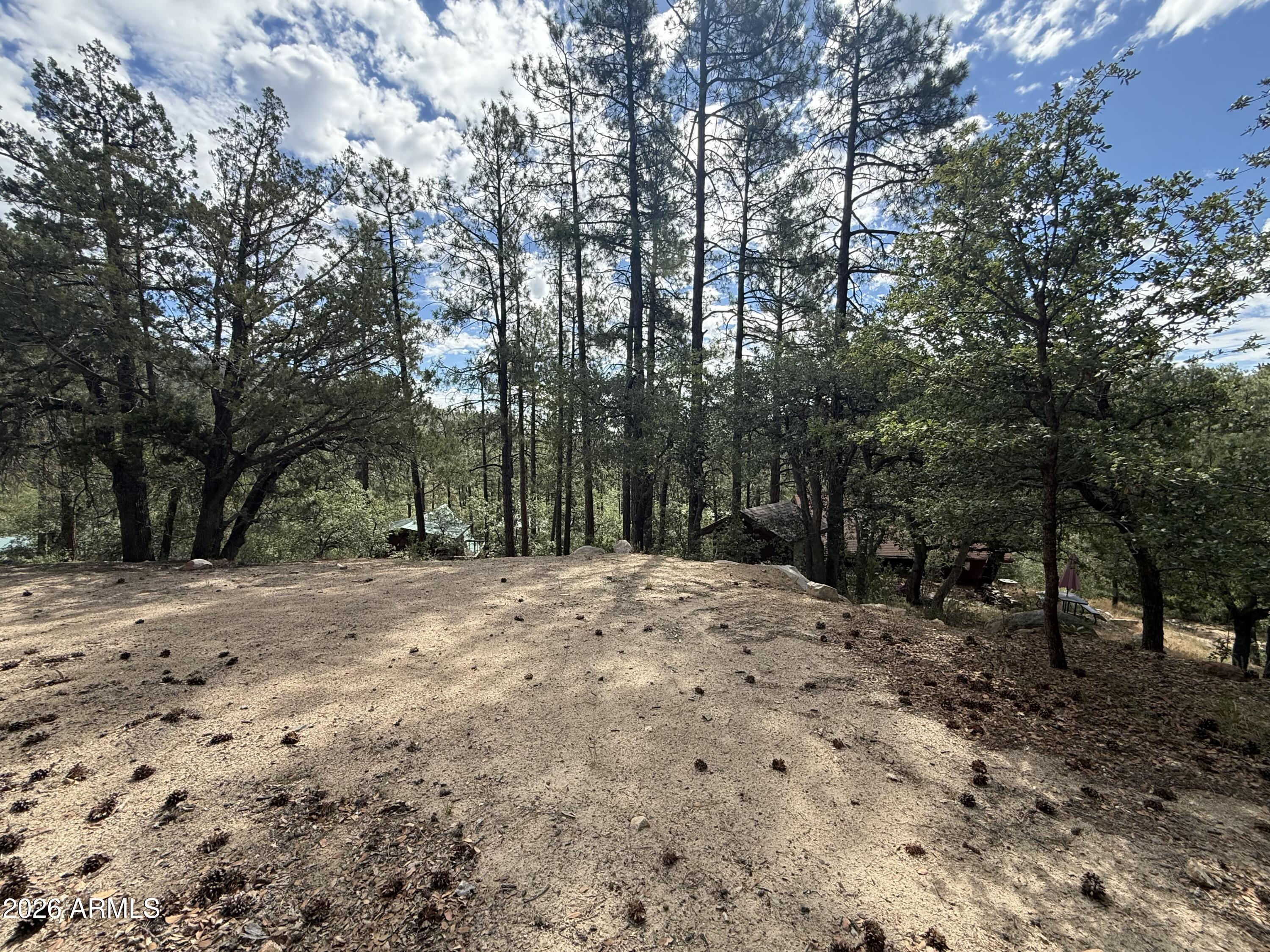 23441 S VAN Lane 49, Crown King, AZ 86343