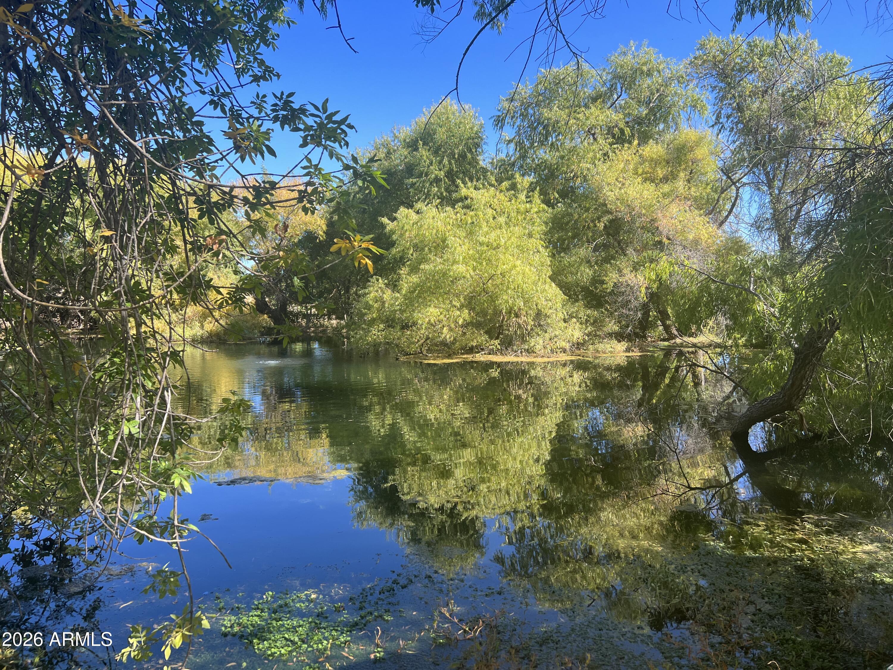 00 Muffin Lane -, Hereford, AZ 85615
