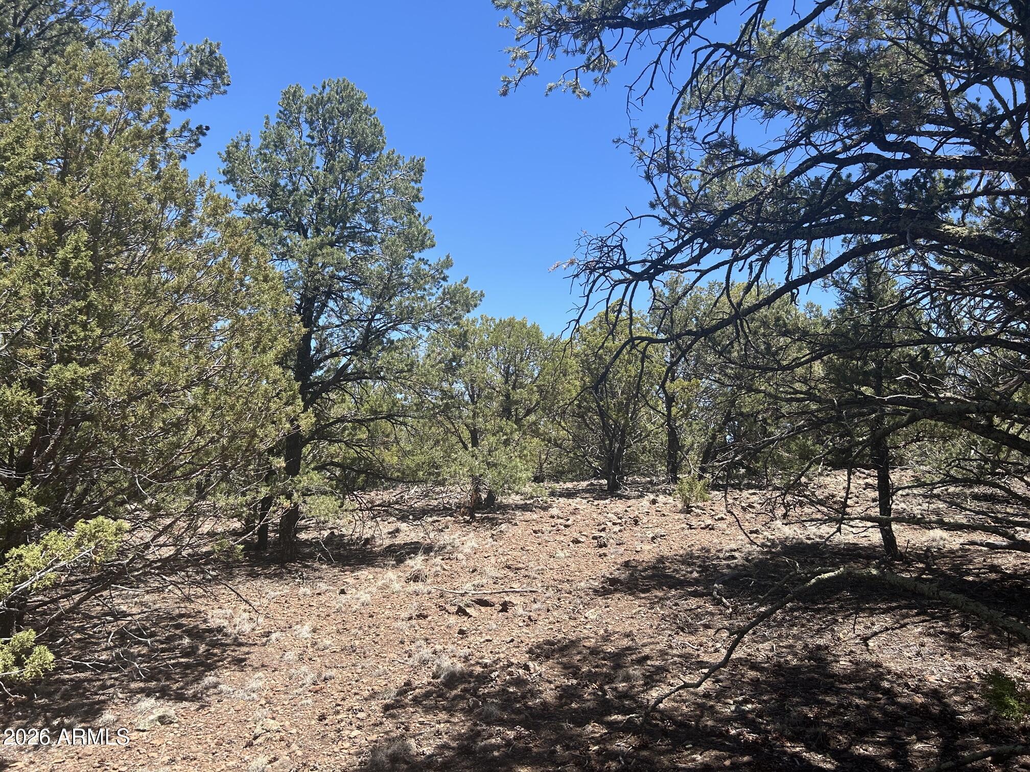 TBD lot 37K 037K, Vernon, AZ 85940