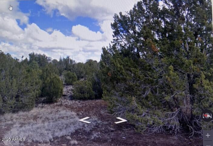 8426 Silver Creek Drive 1, Show Low, AZ 85901