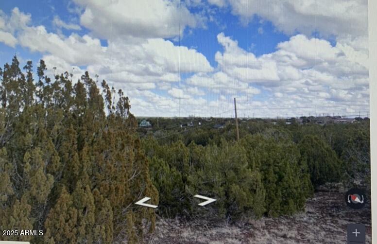 8546 SILVER CREEK Drive 44, Show Low, AZ 85901