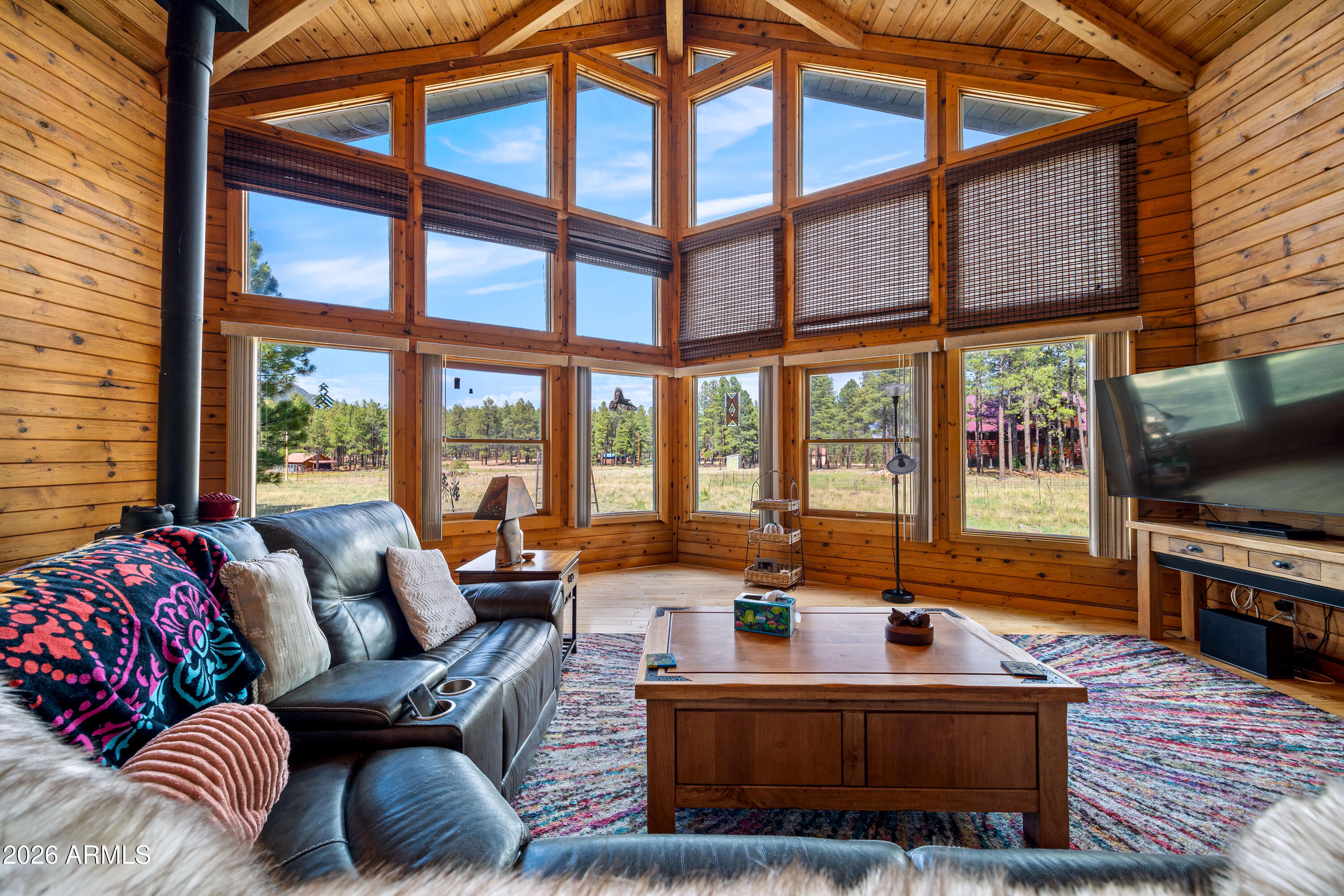 22 COUNTY ROAD 2082, Alpine, AZ 85920
