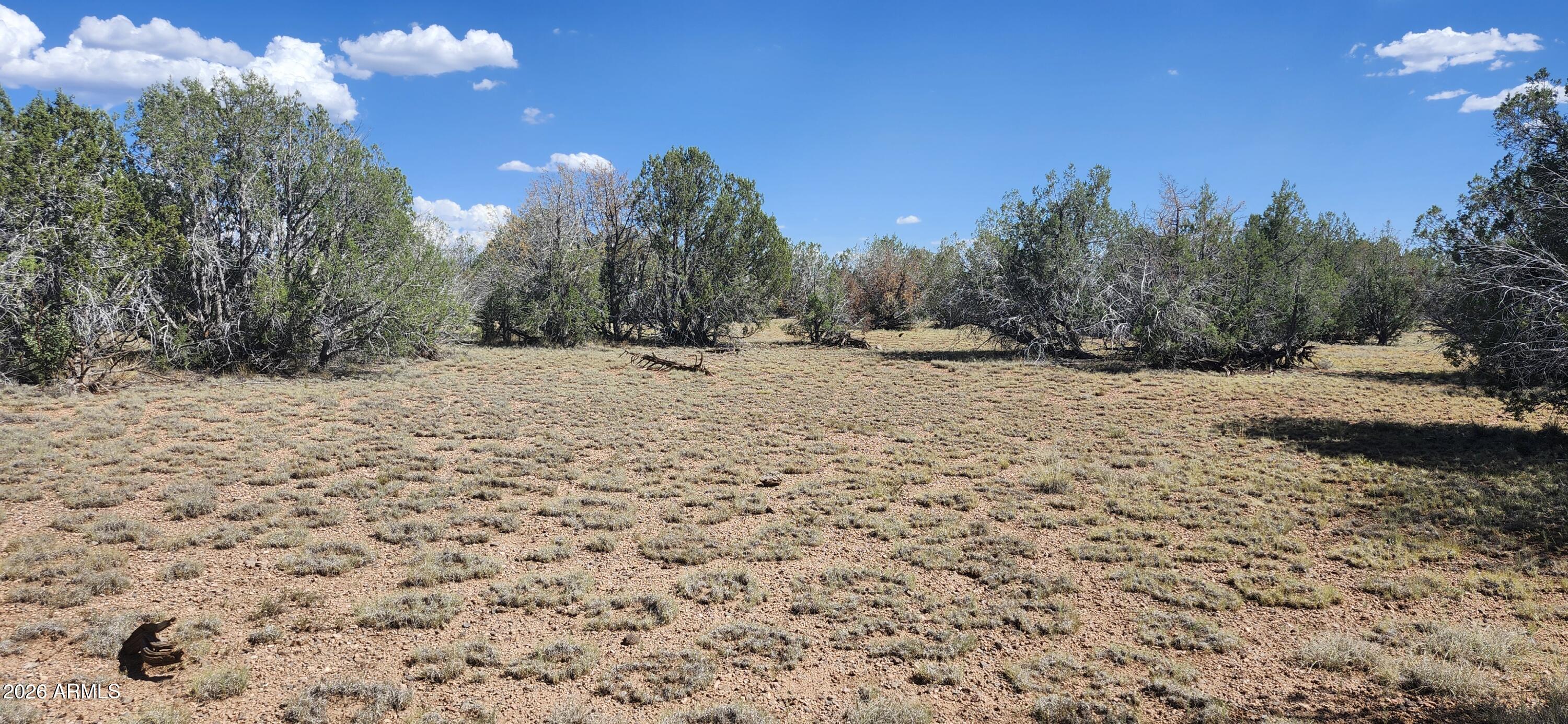 2901 N Cienega Drive A, Ash Fork, AZ 86320