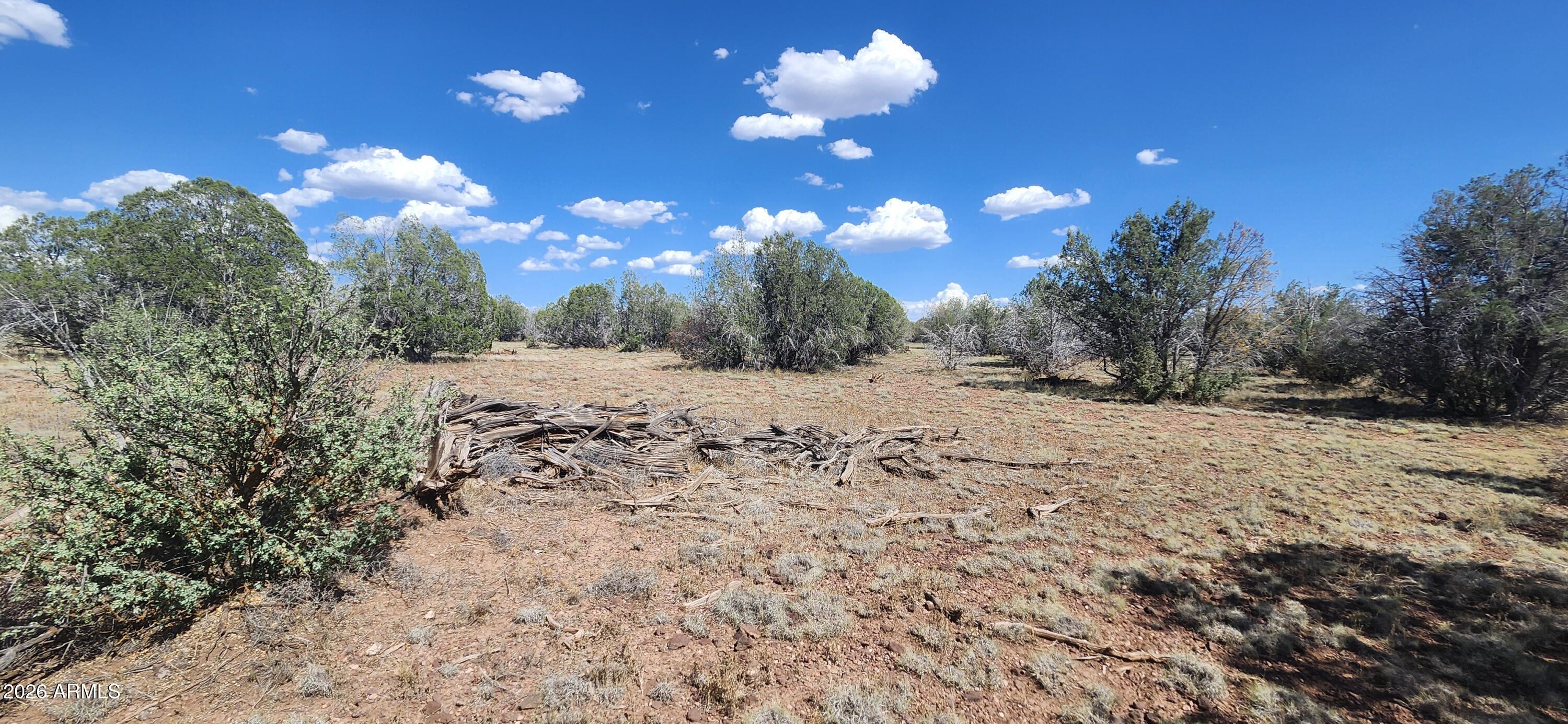 Parcel B N Cienega '''-''', Williams, AZ 86046