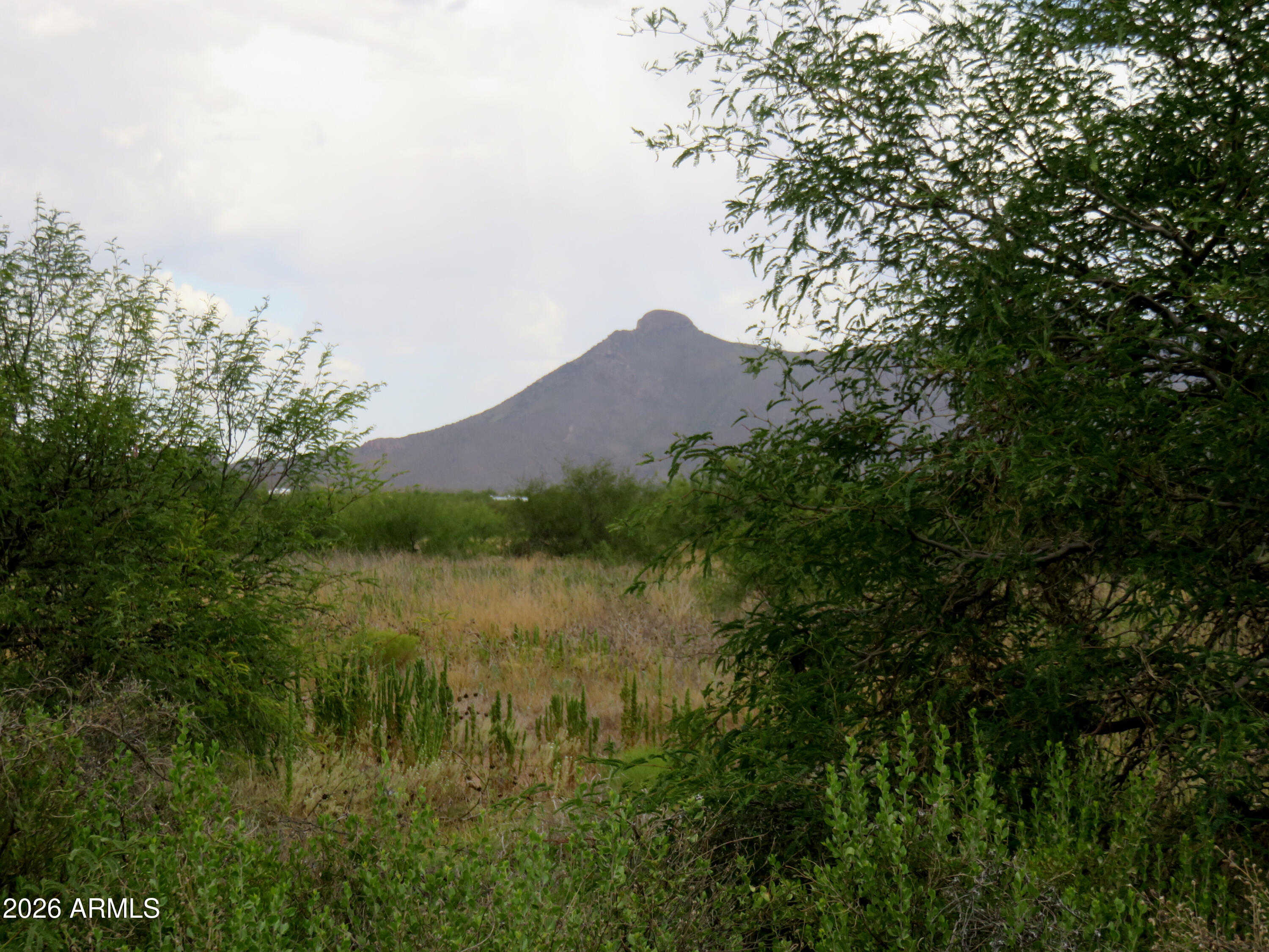 TBD N Hermosillo Road 174, Douglas, AZ 85067