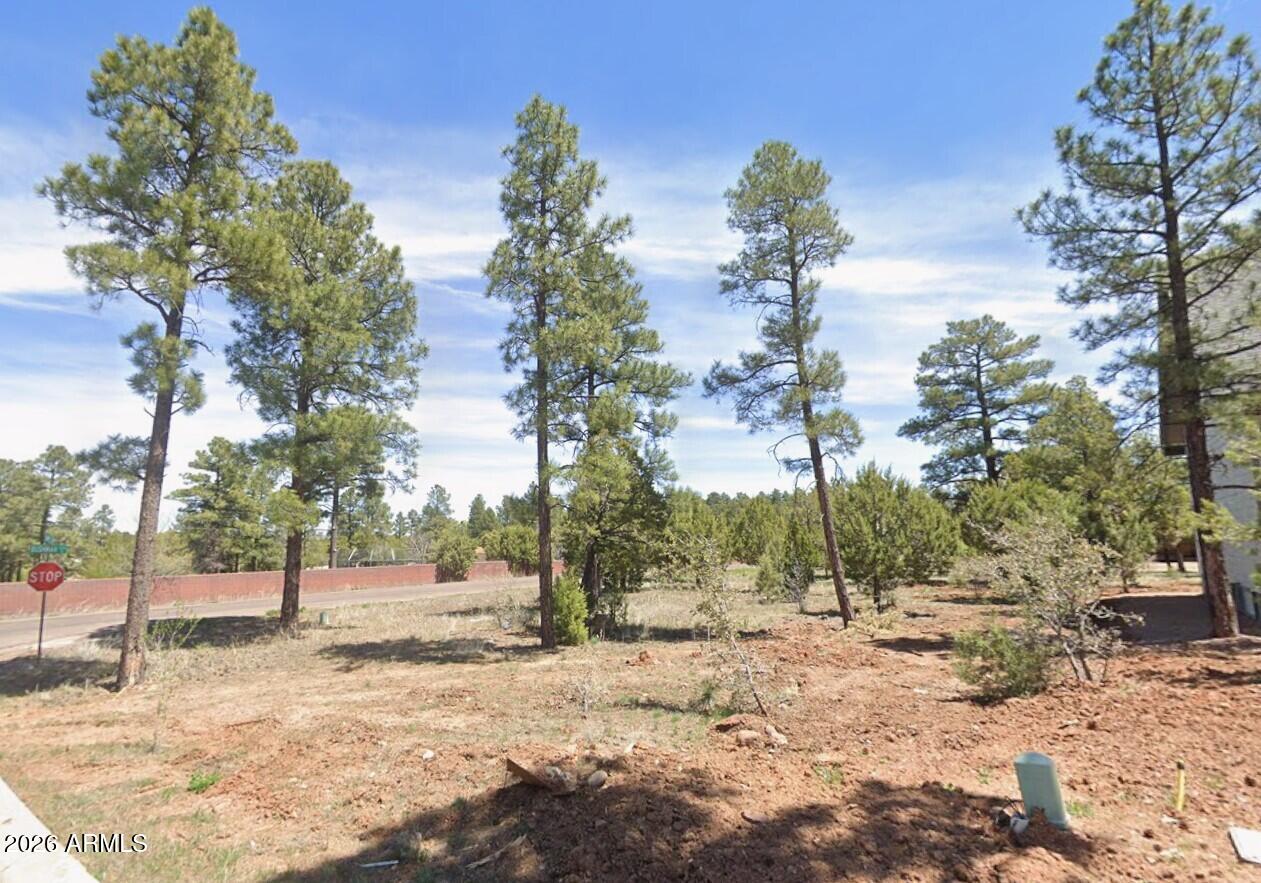 601 S CAMPBELL Lane 66, Show Low, AZ 85901